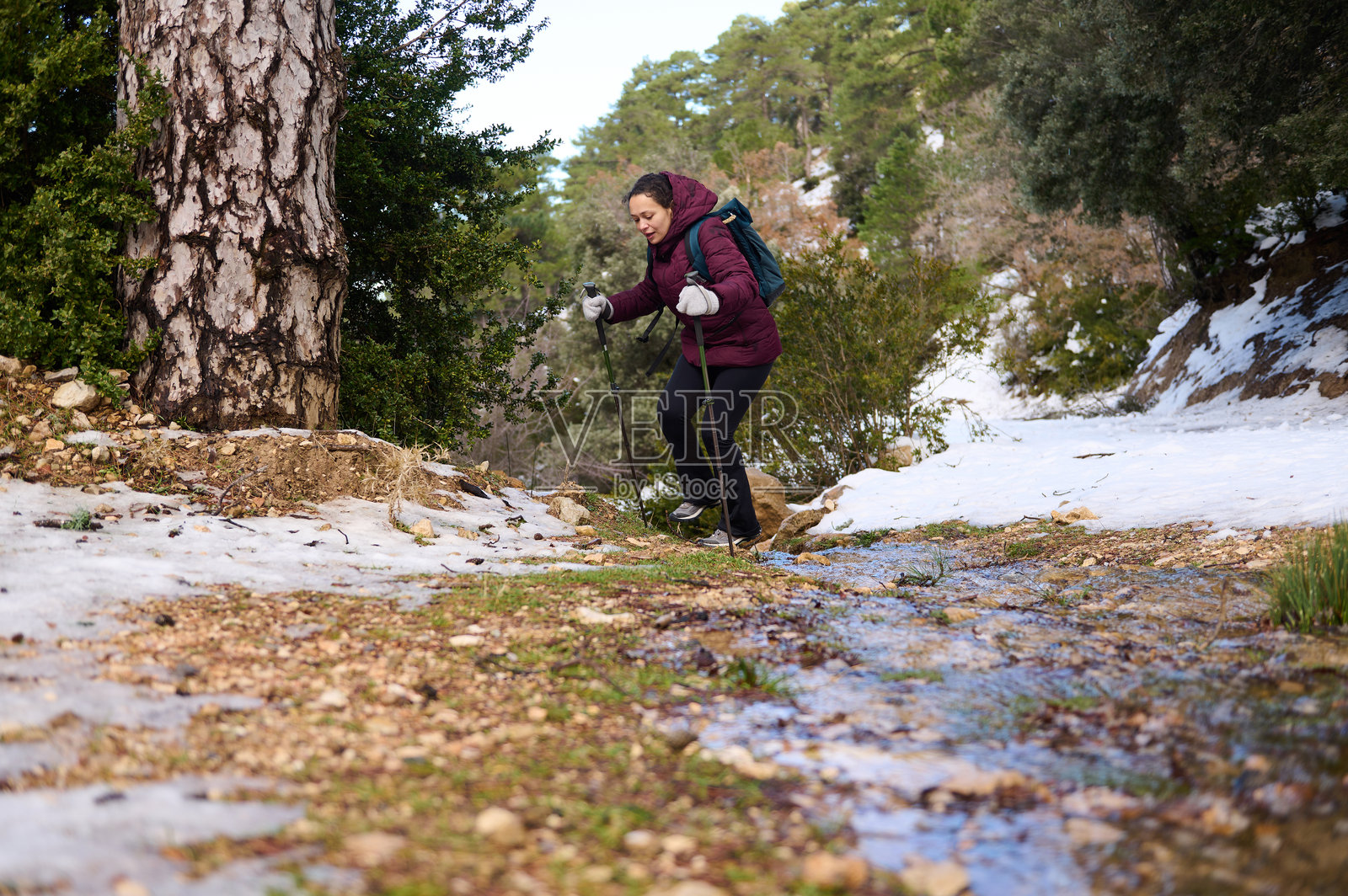 一位女性徒步者使用登山杖在雪林小径上徒步照片摄影图片