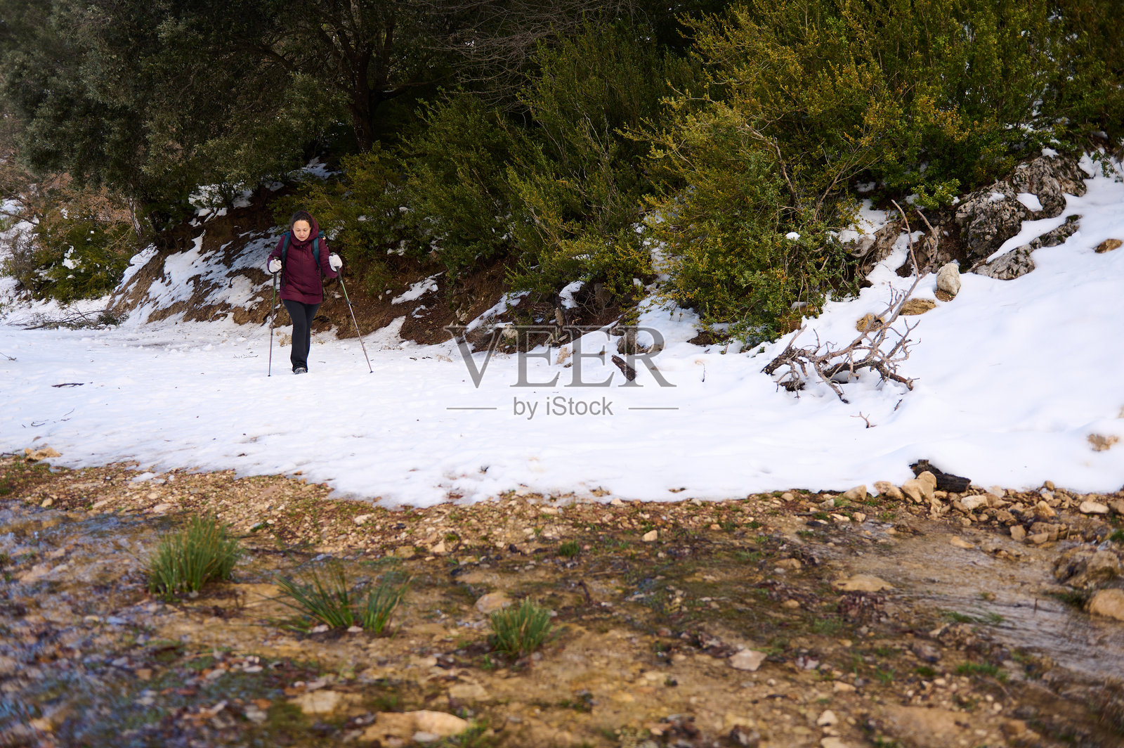 冬季荒野中，女子手持登山杖，徒步穿越雪地溪边小径照片摄影图片