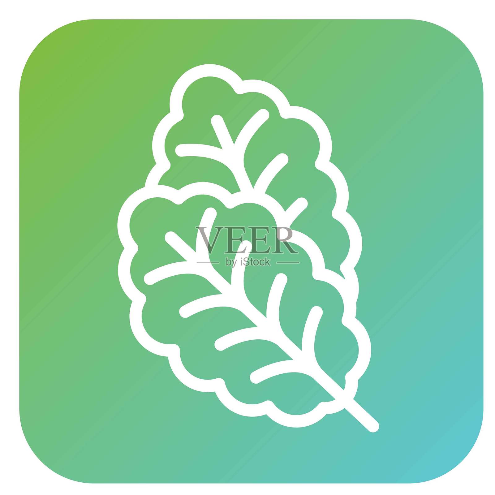 矢量甜菜矢量设计图标风格插画图片素材