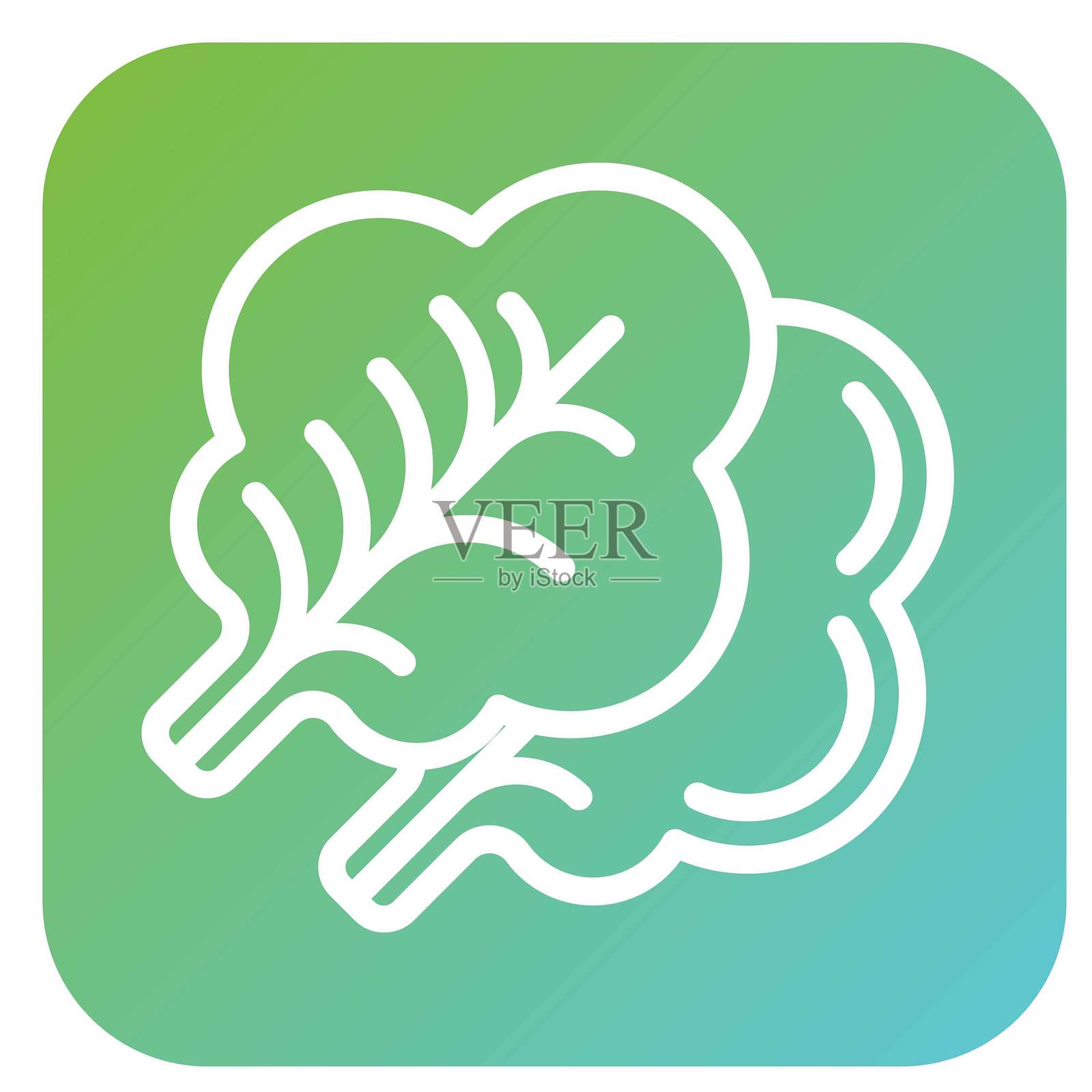 矢量设计绿叶生菜矢量设计图标风格插画图片素材