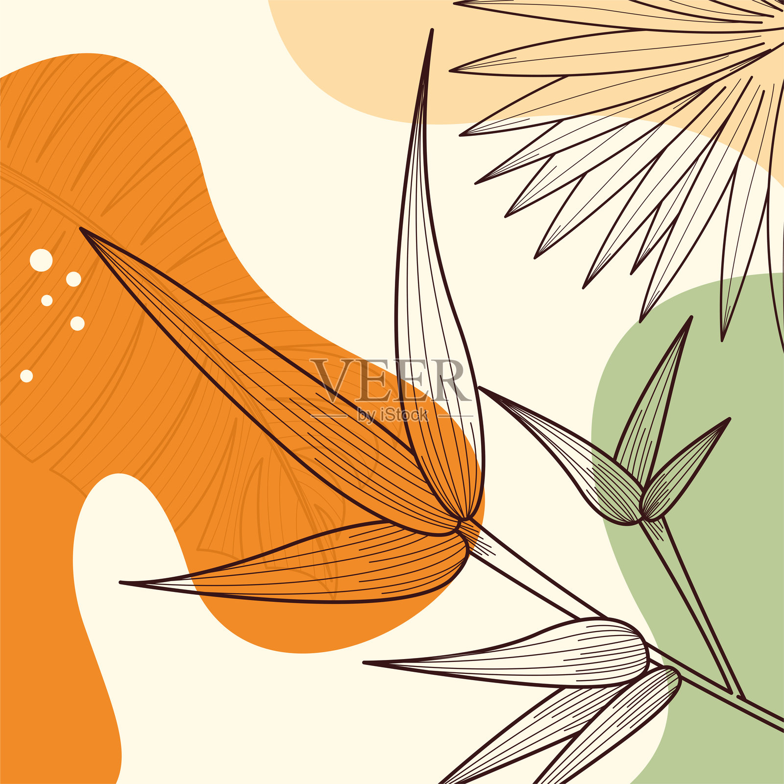 波西米亚植物抽象插画插画图片素材