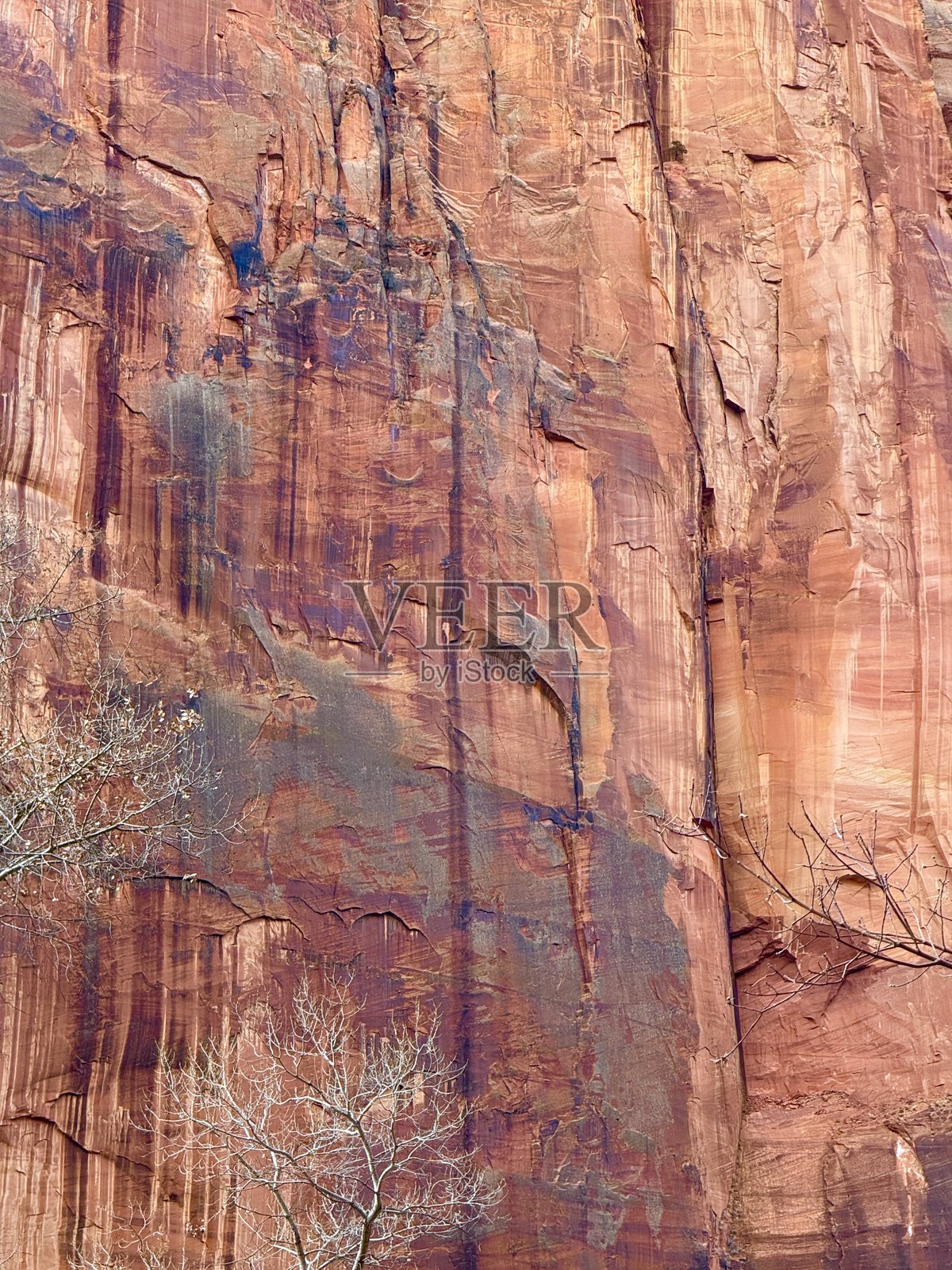 锡安国家公园照片摄影图片