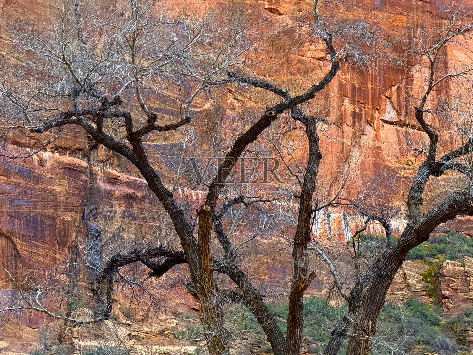 锡安国家公园照片摄影图片