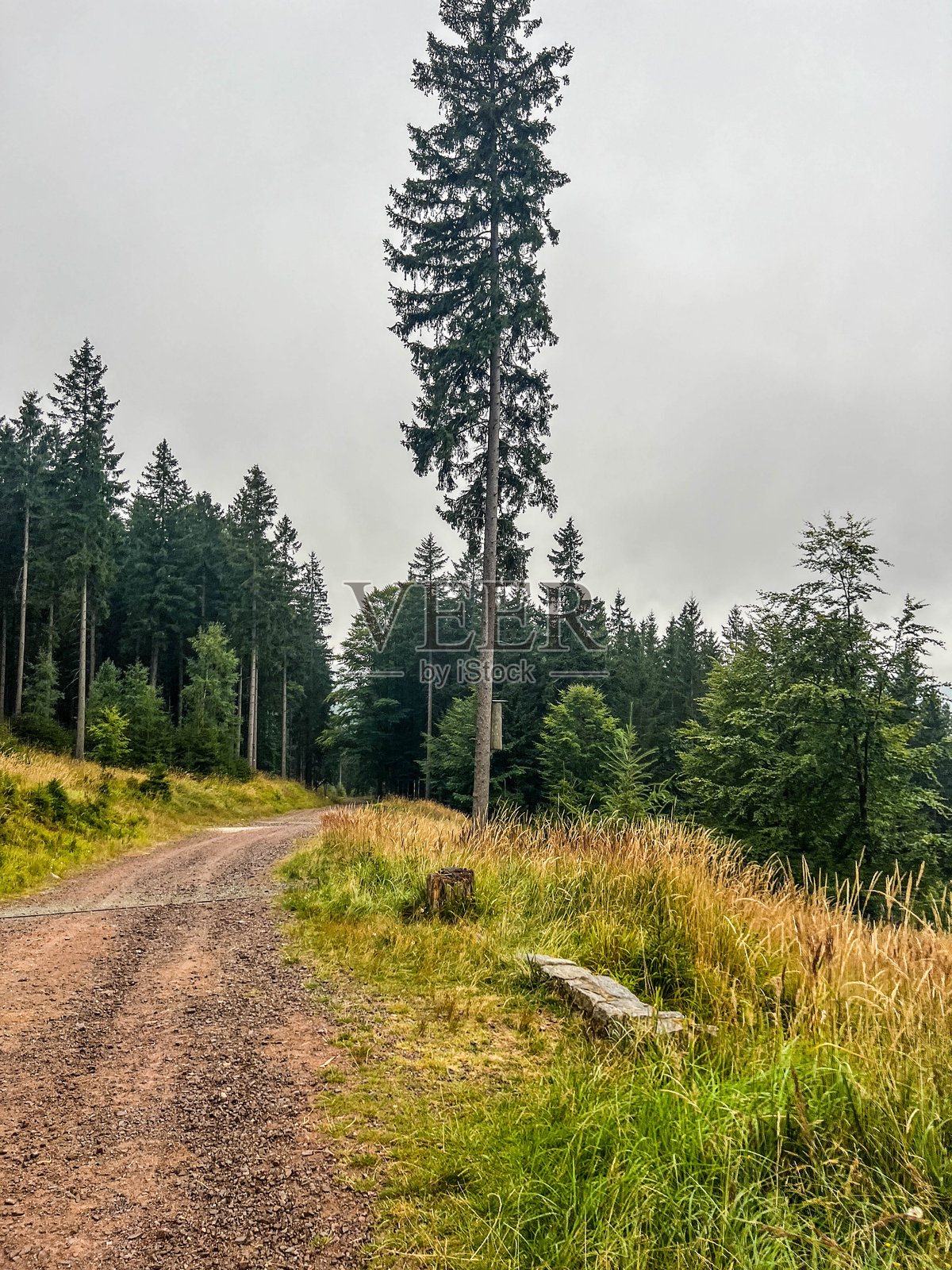 波兰米扬兹戈热附近斯涅日尼克山脉的一个蜂箱照片摄影图片