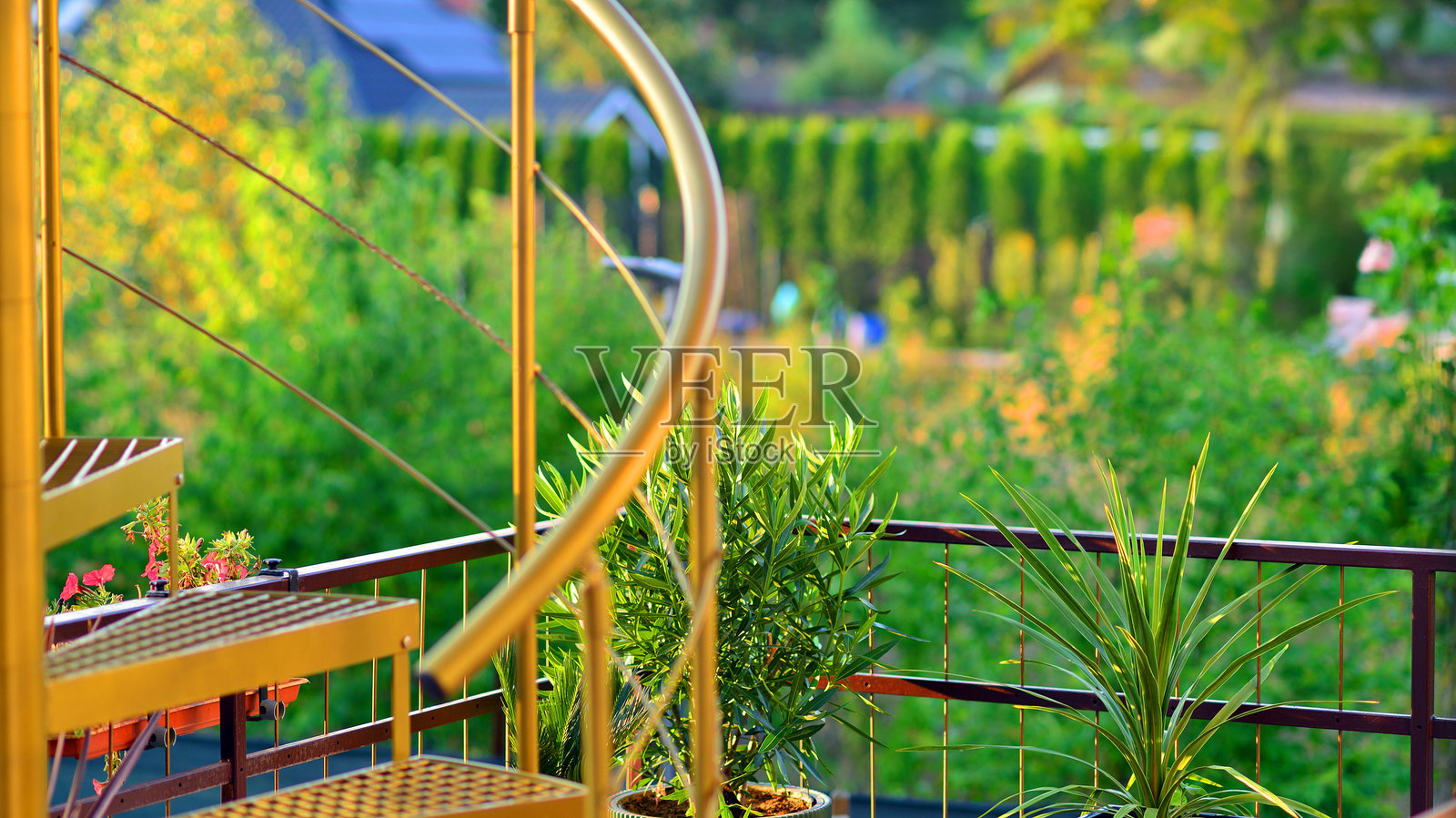 露台上带有植物的钢制螺旋金色楼梯照片摄影图片