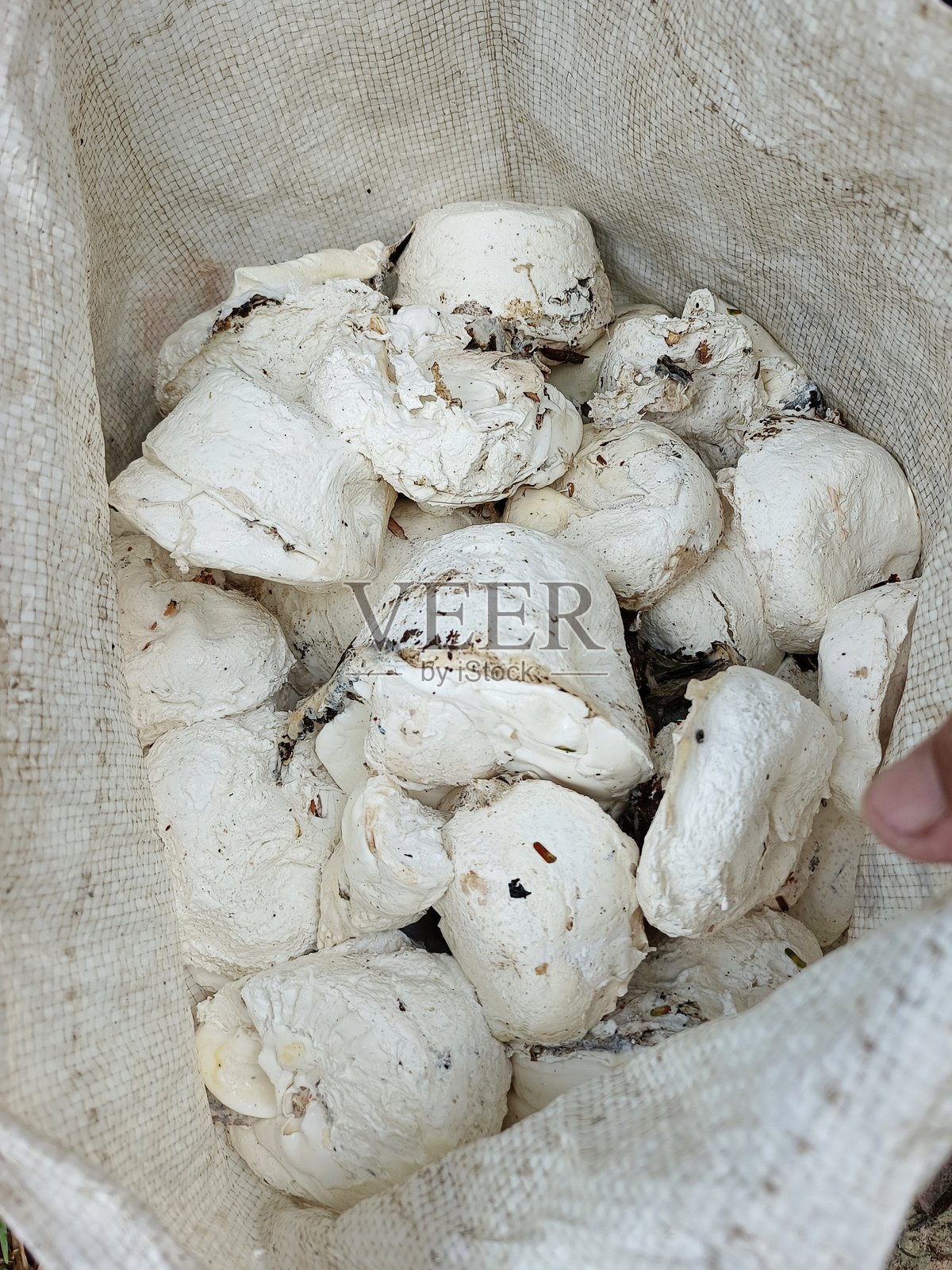 冻结的乳胶或冻结的树脂的模糊视图照片摄影图片