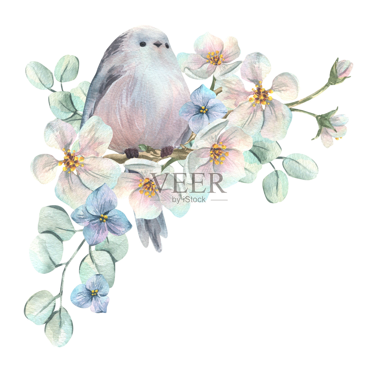 一只长尾山雀栖息在盛开的白色苹果树上，周围环绕着绣球花和桉树枝。这是一幅精致的手绘水彩插画，适用于春季婚礼和节日设计。插画图片素材