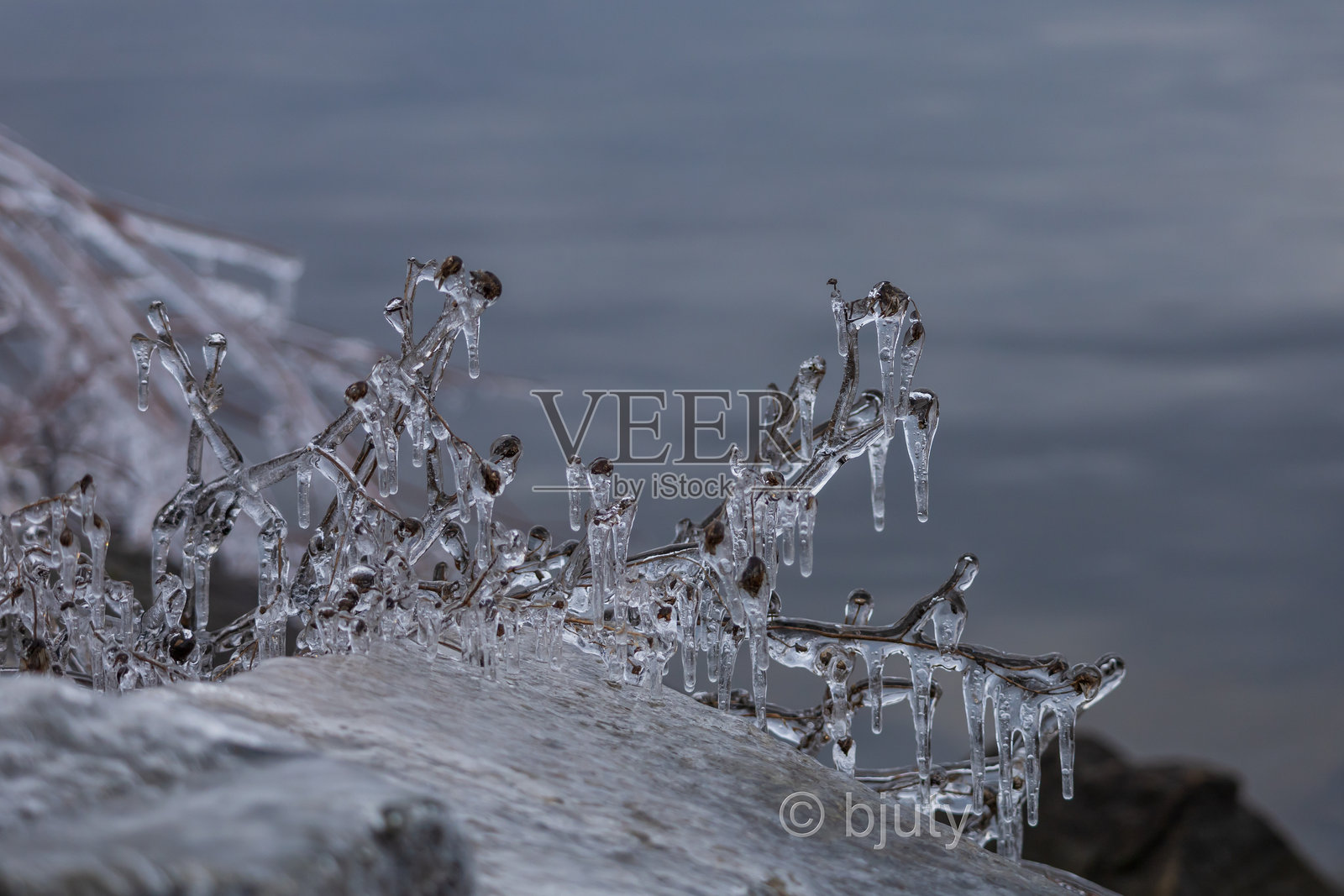 岩石基座上结冰的植物的冬季特写，带有冰柱。特写镜头拍摄了覆盖着厚厚一层透明冰的植物冰冻枝叶，形成了悬挂的冰柱。照片摄影图片
