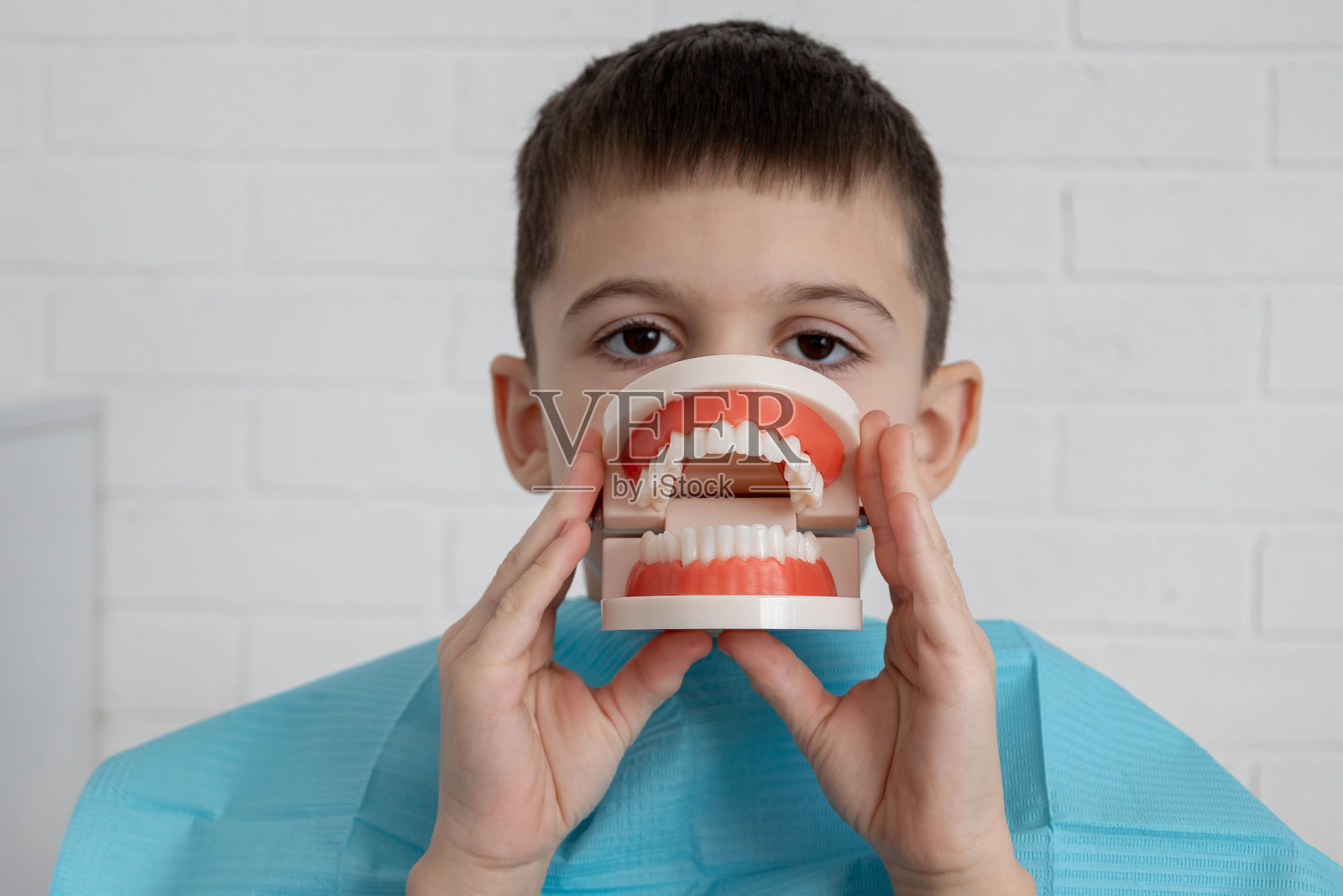 小男孩拿着牙齿颌骨模型，儿童牙科和口腔卫生的概念照片摄影图片