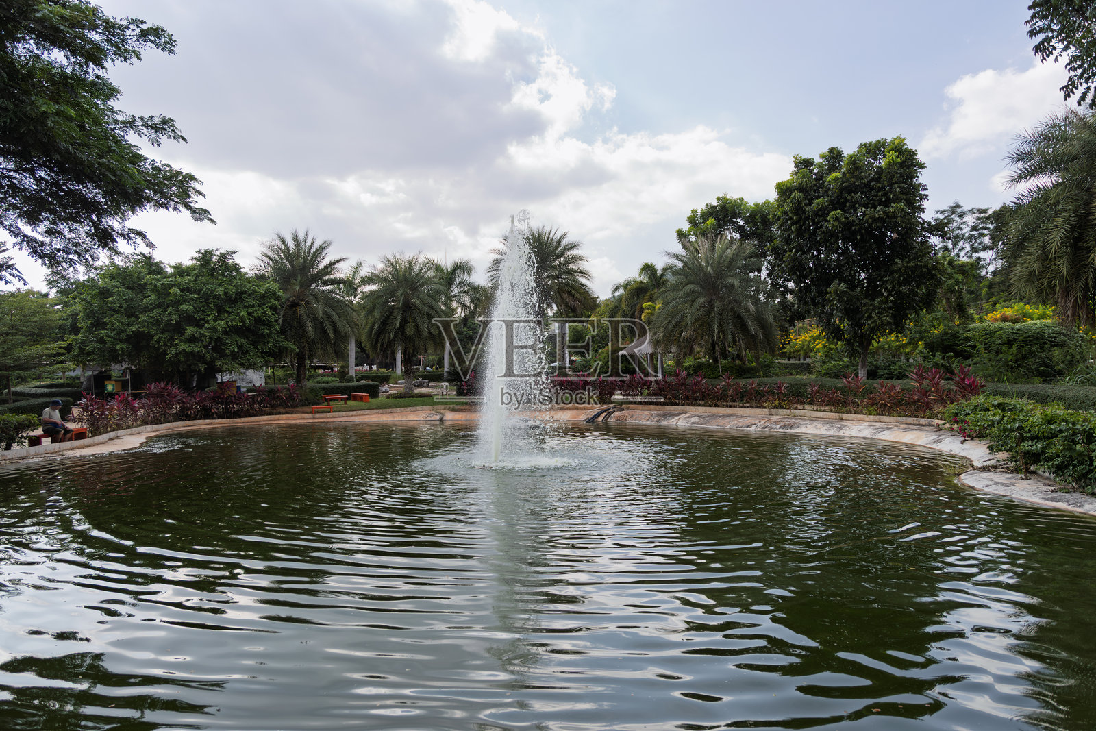 泰国考艾龙普托露天寺公园宁静的池塘，中央有喷泉，周围环绕着热带棕榈树和开花灌木照片摄影图片