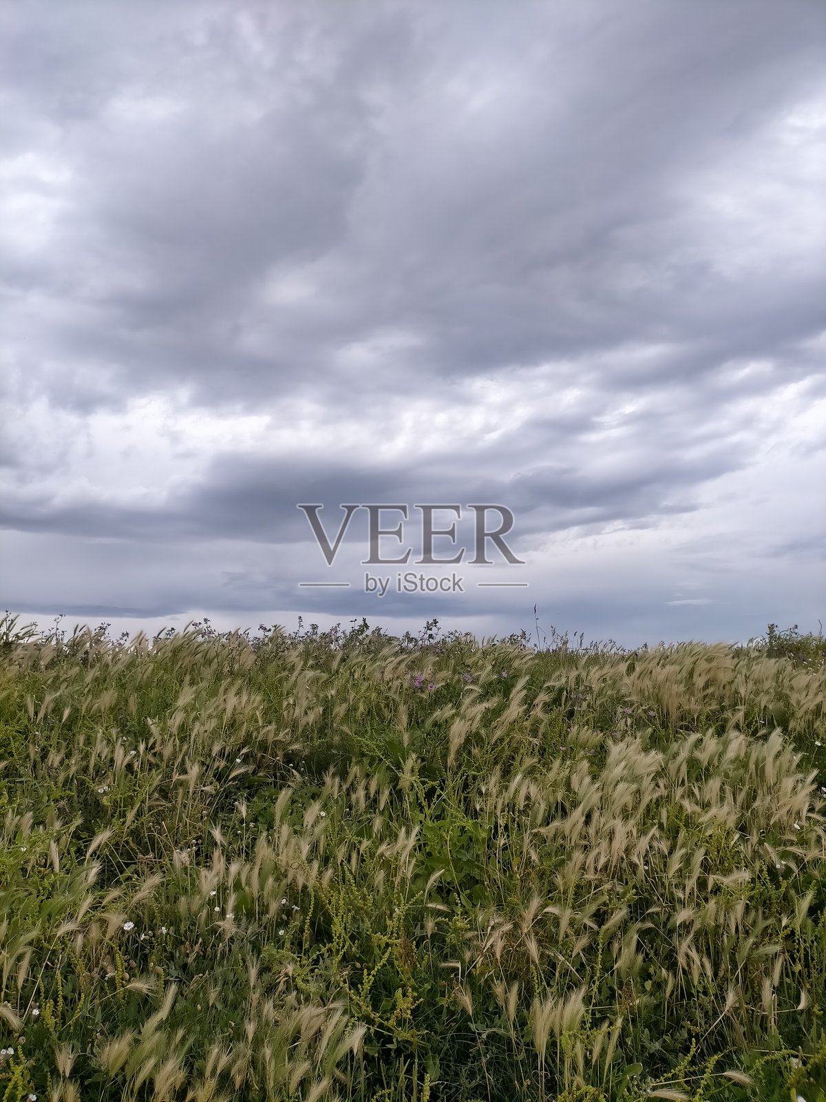 西班牙里瓦达奥美丽的林洛港照片摄影图片