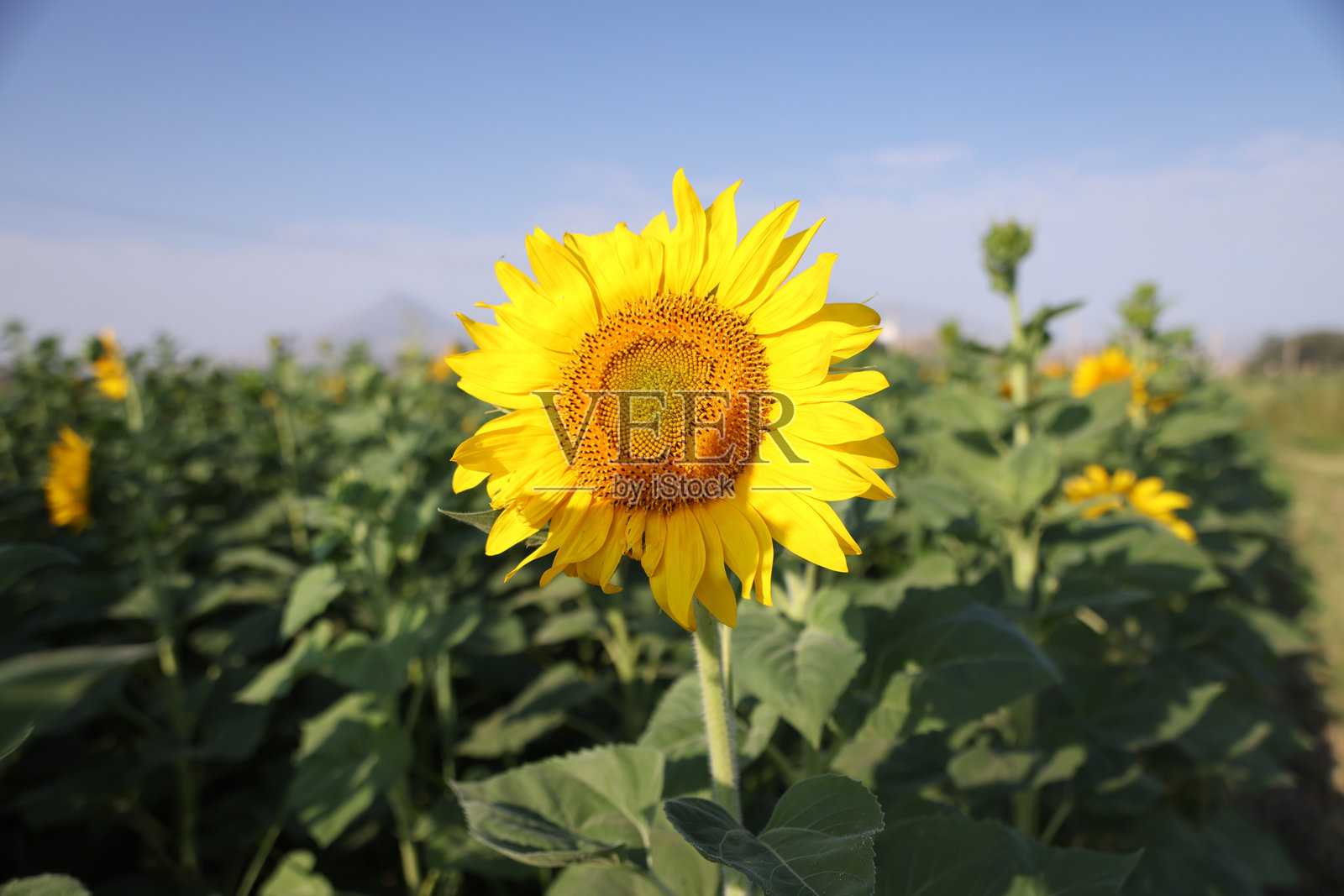 亚美尼亚风光照片摄影图片