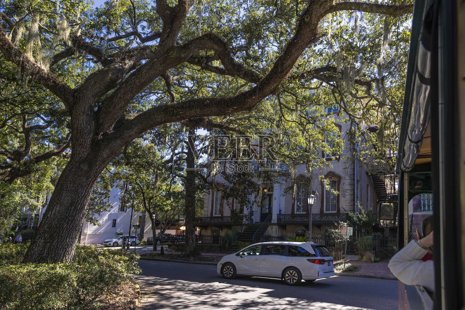 萨凡纳历史街区的电车之旅景点照片摄影图片