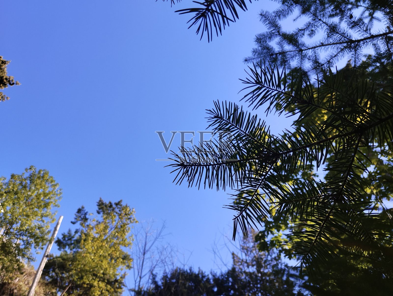 自然风光照片摄影图片