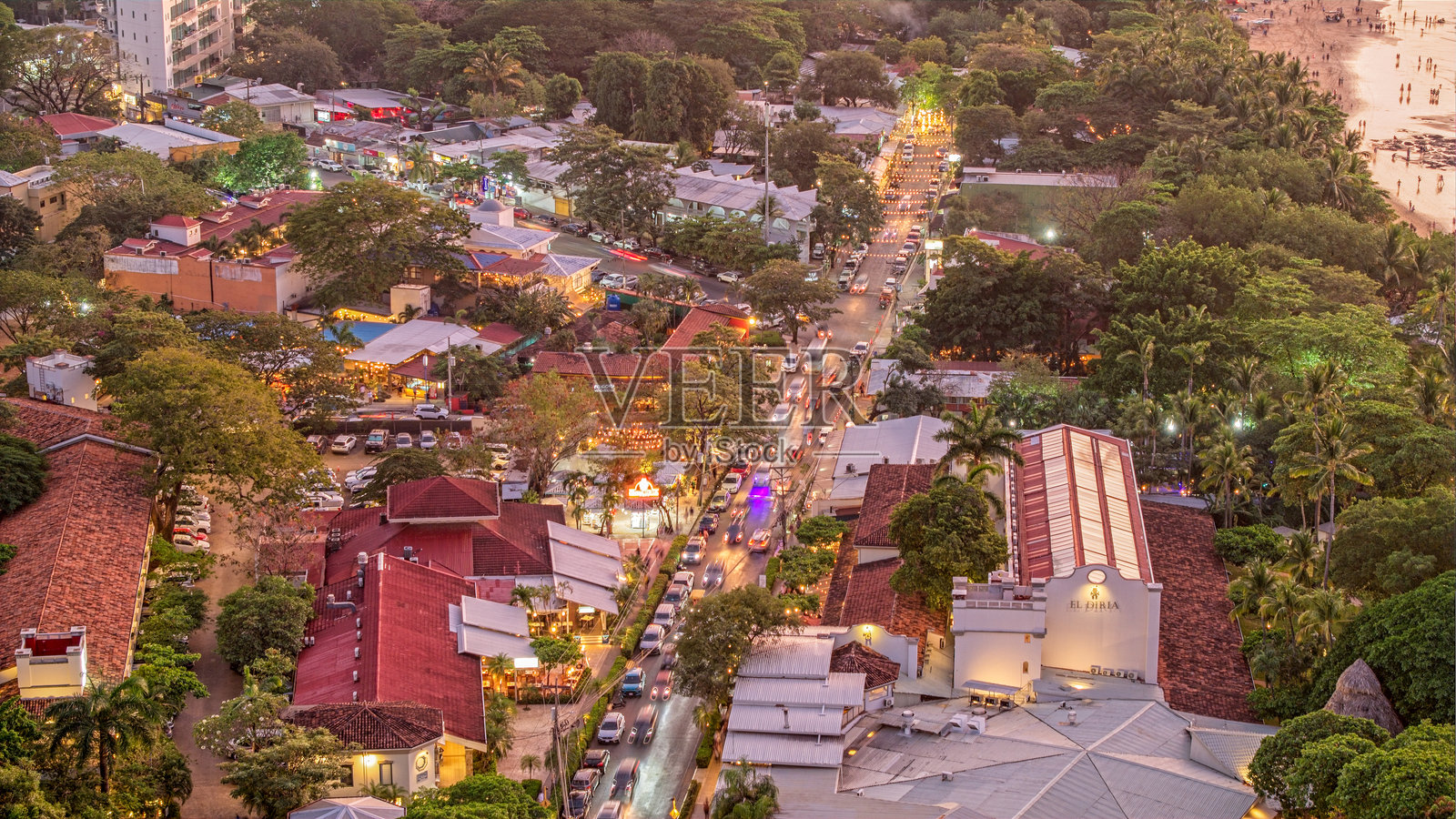 塔马林多照片摄影图片