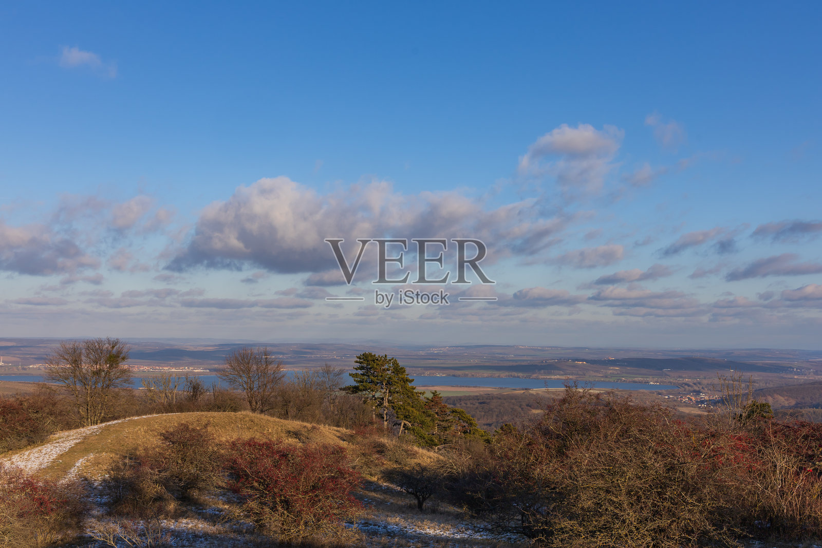 冬季新米林水库的景色，有红色的山楂树。捷克南摩拉维亚地区，晴朗的蓝天下飘着小雪。照片摄影图片