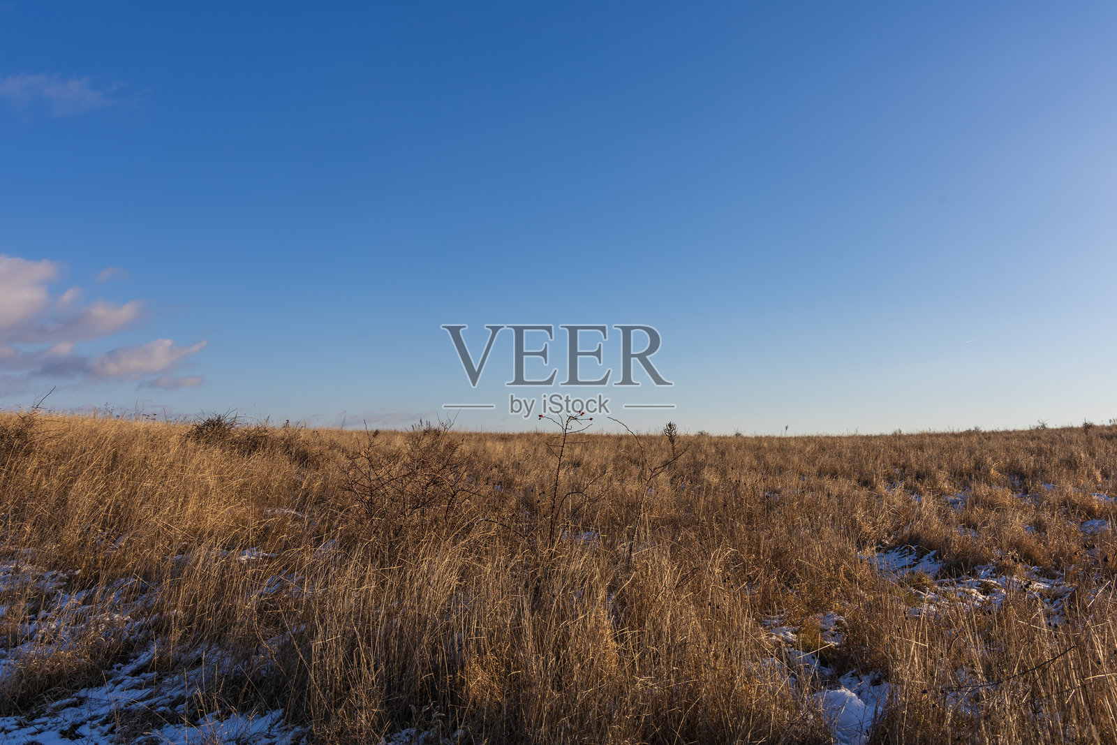 晴朗蓝天下，枯黄草原上残留着白雪。南摩拉维亚帕拉瓦地区冬日风光，阳光明媚。照片摄影图片