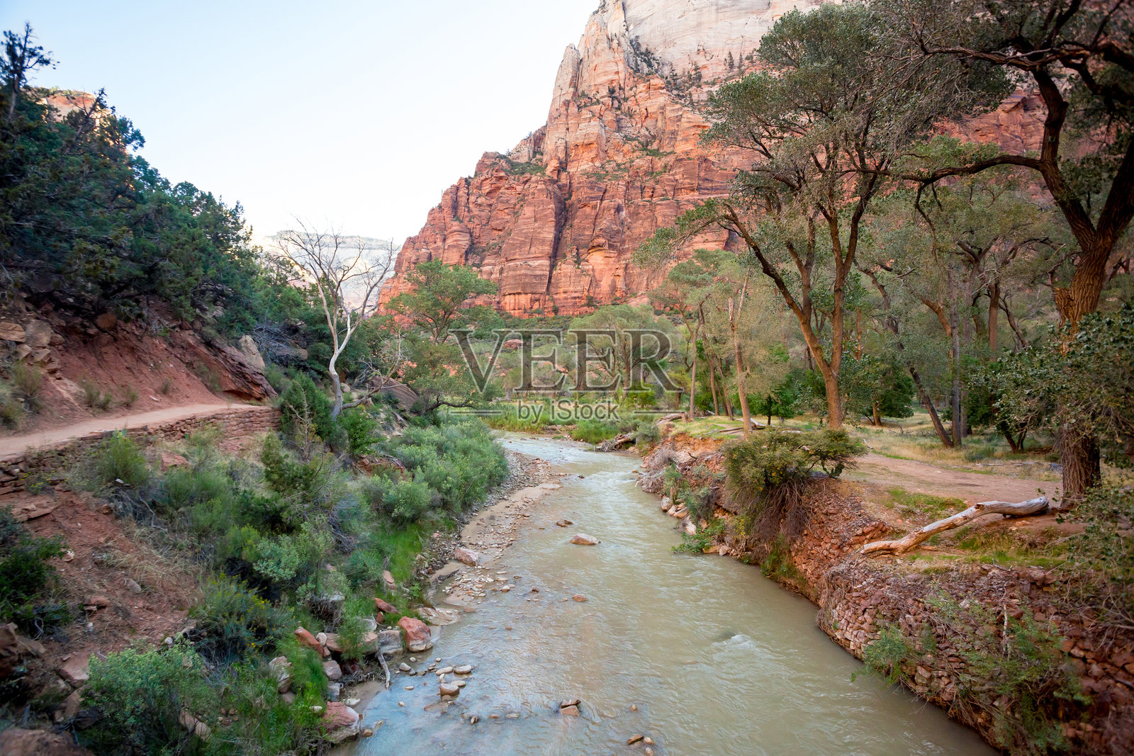 犹他州锡安国家公园的维尔京河照片摄影图片