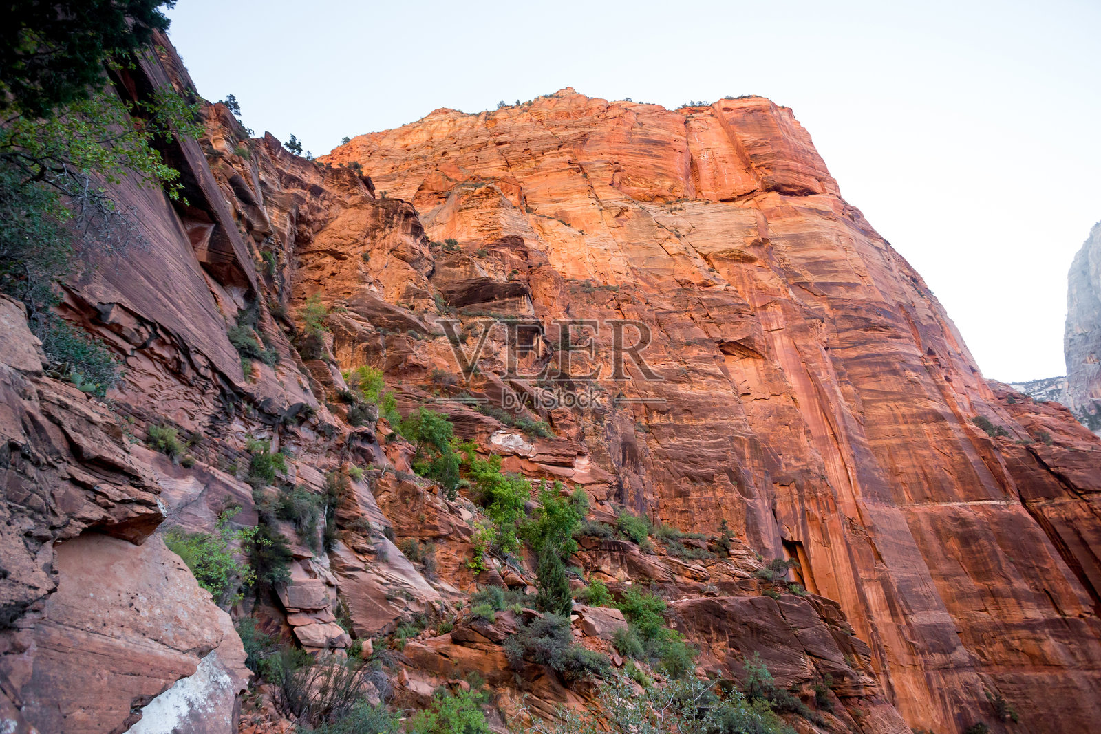 犹他州锡安国家公园西缘步道旁的砂岩悬崖照片摄影图片