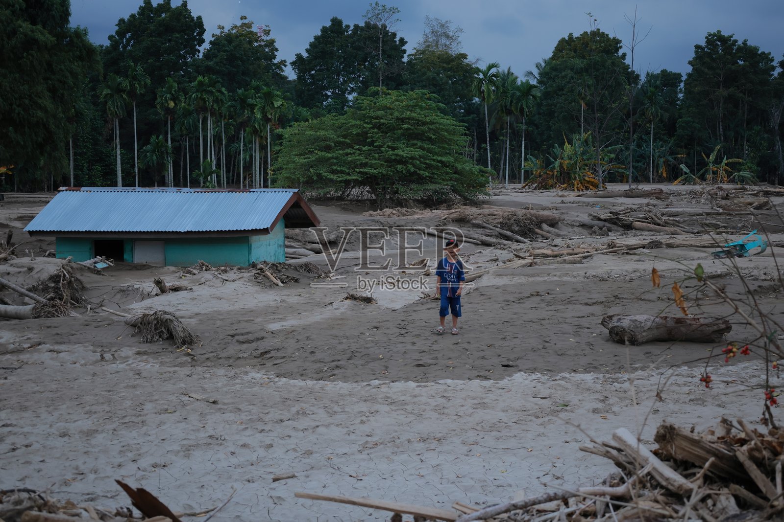 2025年12月21日，在亚齐省皮迪贾亚，一名儿童走过一次山洪暴发后的原木和泥泞照片摄影图片