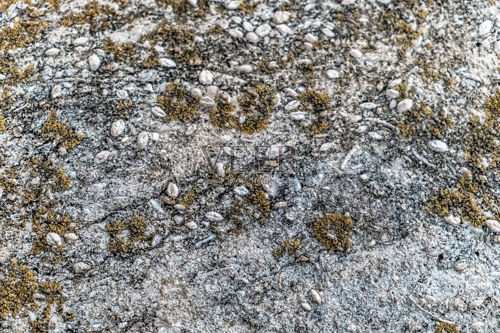 特写镜头，展示了饱经风霜的混凝土表面，上面嵌着卵石，并有黄色地衣斑块，形成复杂的自然纹理。照片摄影图片