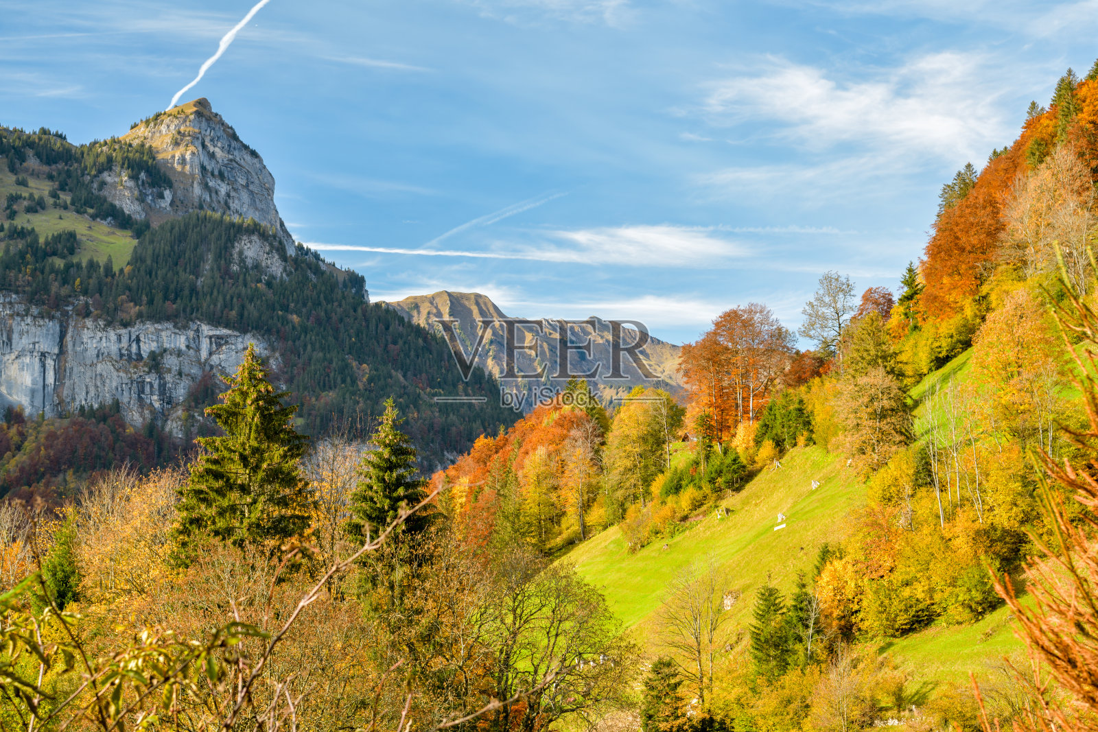 瑞士恩格尔贝格塔尔山谷中美丽多彩的秋日自然风光照片摄影图片