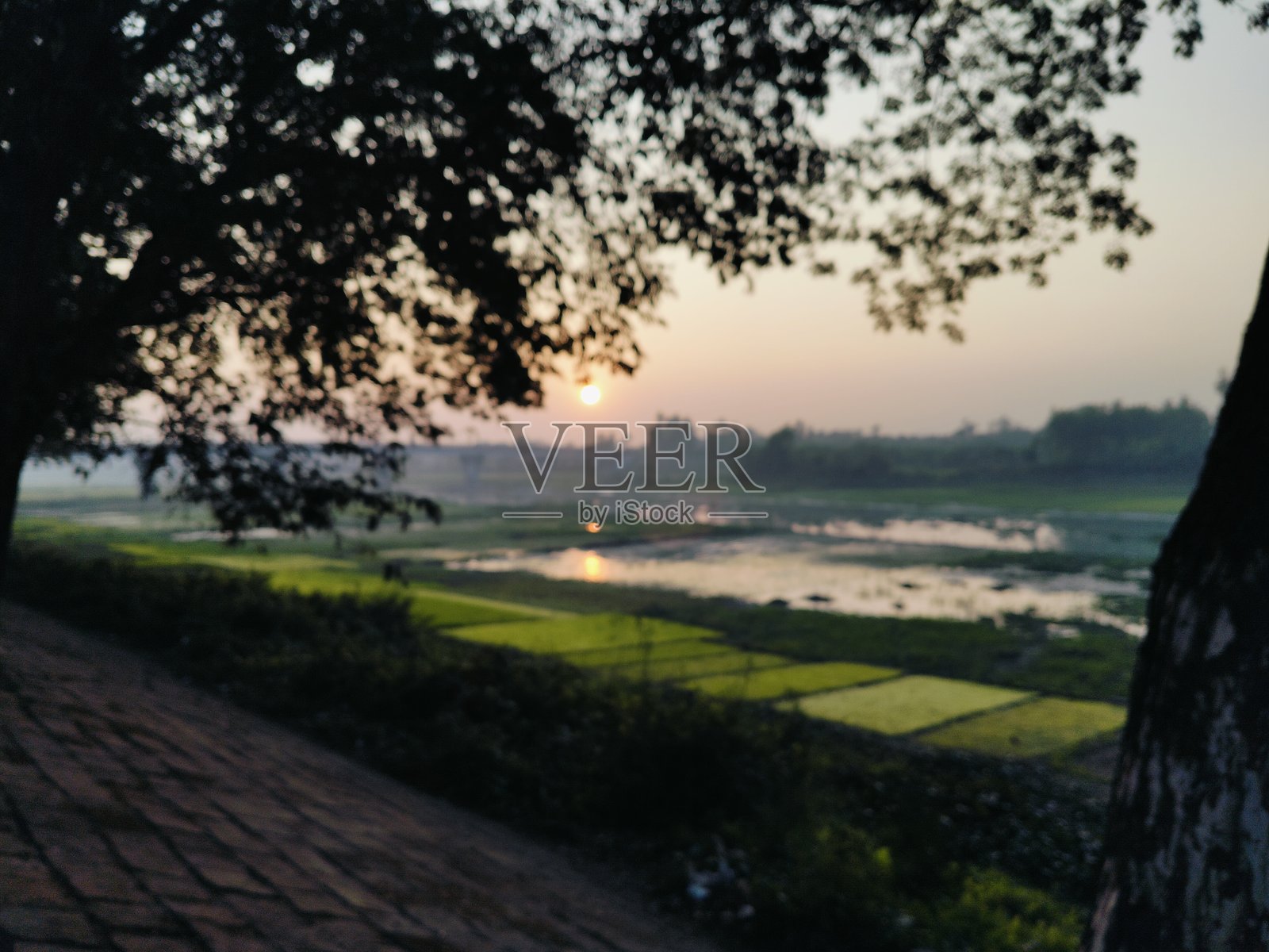 日落时分的乡村景色照片摄影图片