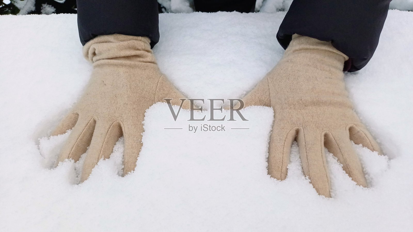 雪照片摄影图片