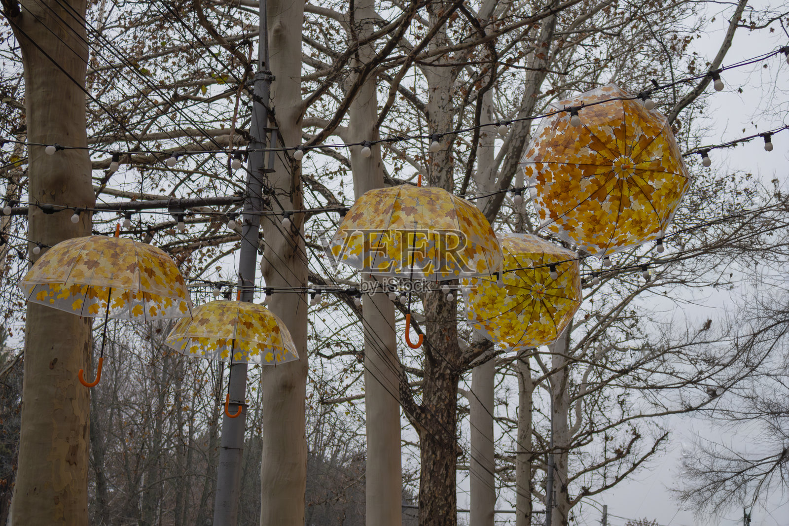 秋季雨伞装置，树上悬挂着黄色的叶子，创意季节性装饰照片摄影图片