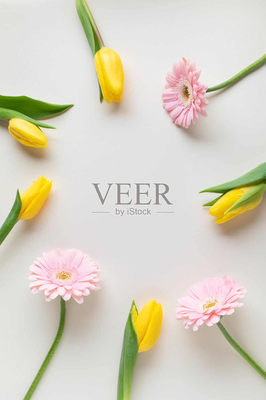 柔和色调桌面上的美丽春日花卉边框，国际妇女节或母亲节贺卡。俯视，扁平化风格，垂直空白。照片摄影图片