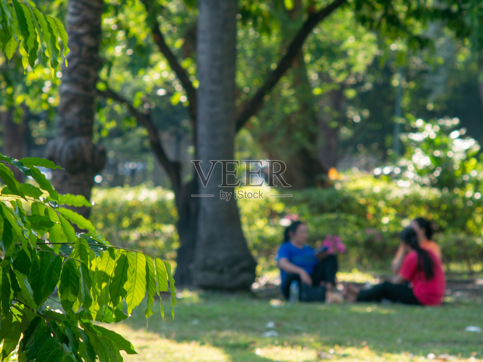 公园里人们坐着放松的模糊背景照片摄影图片
