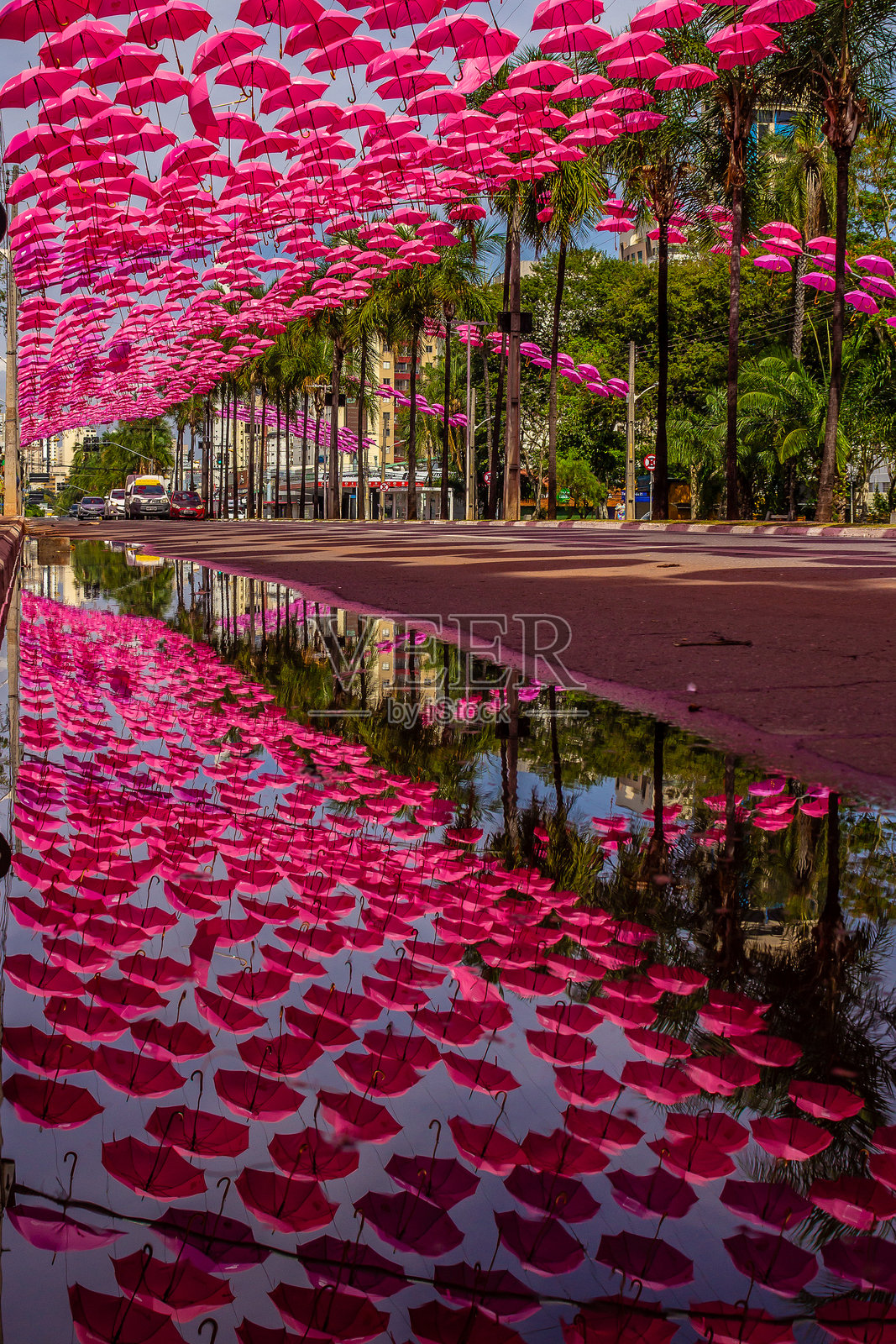 粉色的雨伞照片摄影图片
