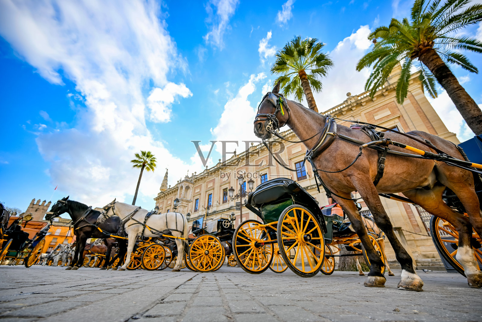 西班牙塞维利亚市中心大教堂外的马车照片摄影图片
