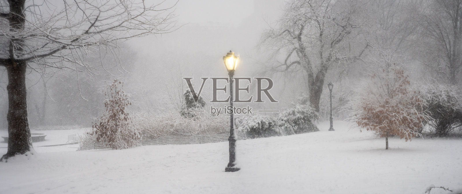 冬天中央公园，暴风雪照片摄影图片