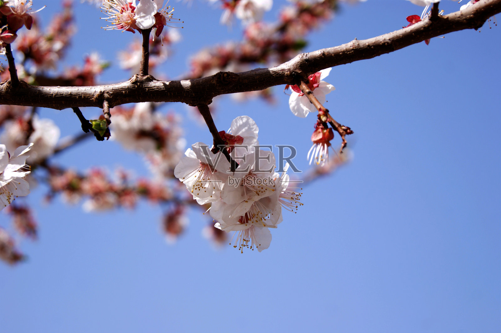 亚美尼亚风光照片摄影图片