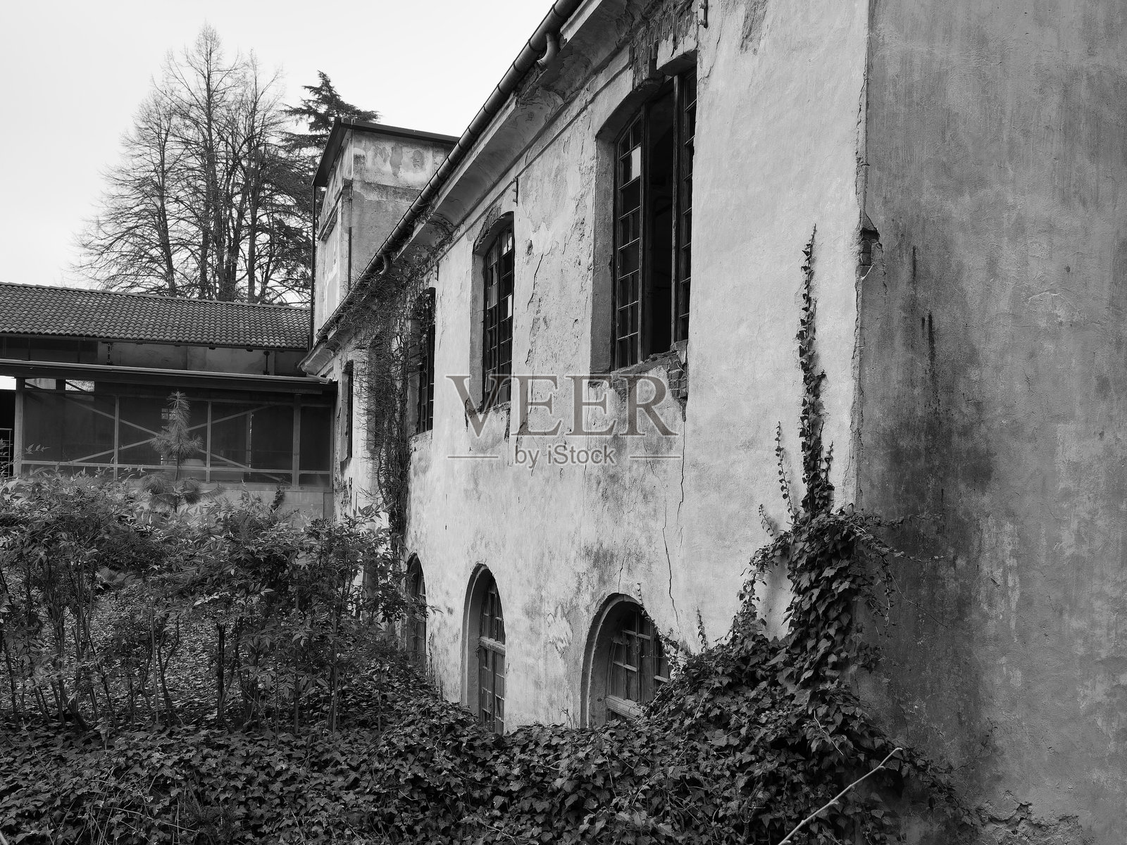 废弃的棉纺厂照片摄影图片