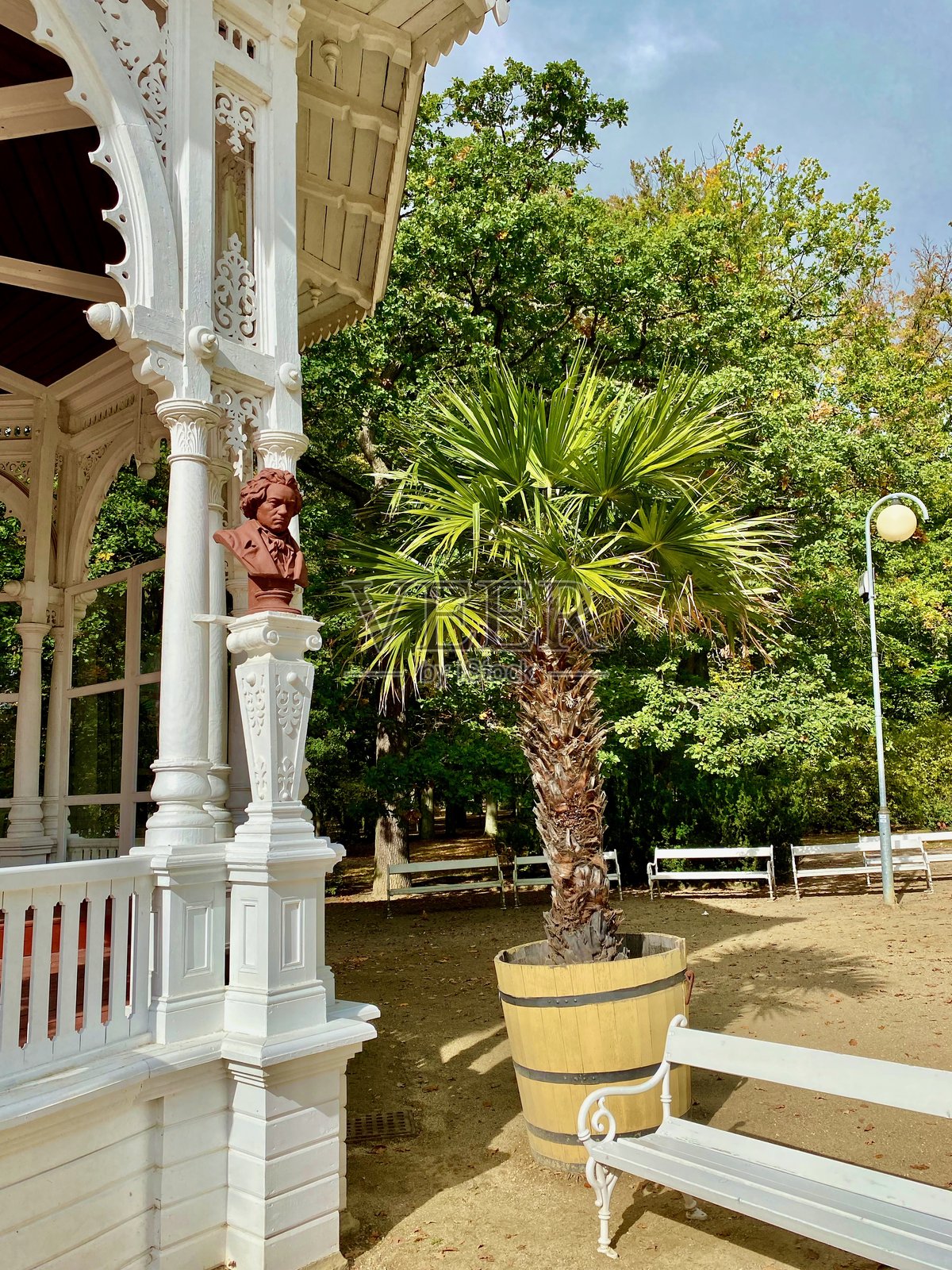 弗兰茨巴德，又称弗兰蒂谢克温泉疗养镇：漫步于拱廊和疗养泉，以及萨林堡观景塔照片摄影图片