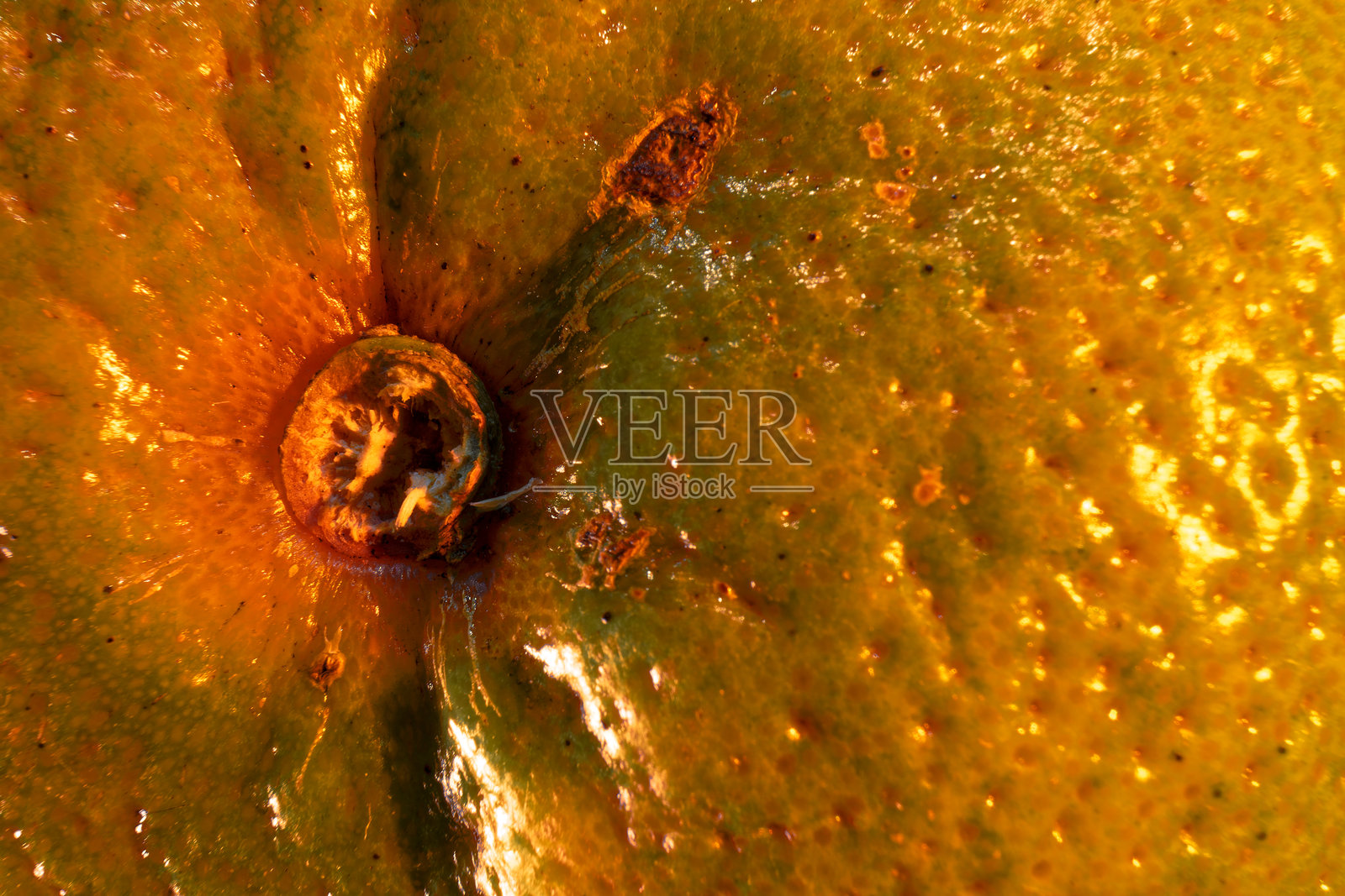 成熟橙子柑橘类水果表皮细节的宏观纹理照片摄影图片