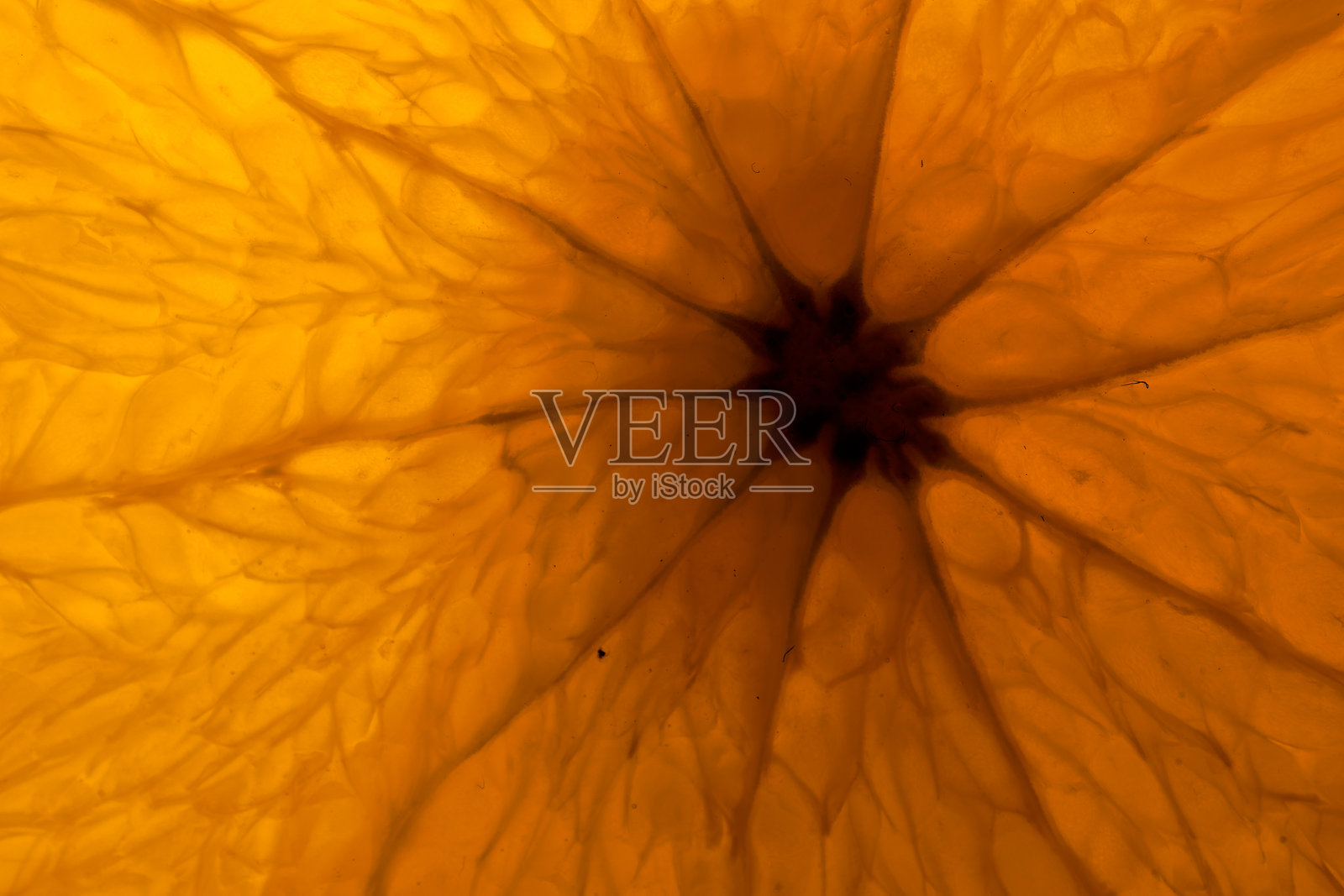 背光半透明橙色水果切片微距纹理照片摄影图片