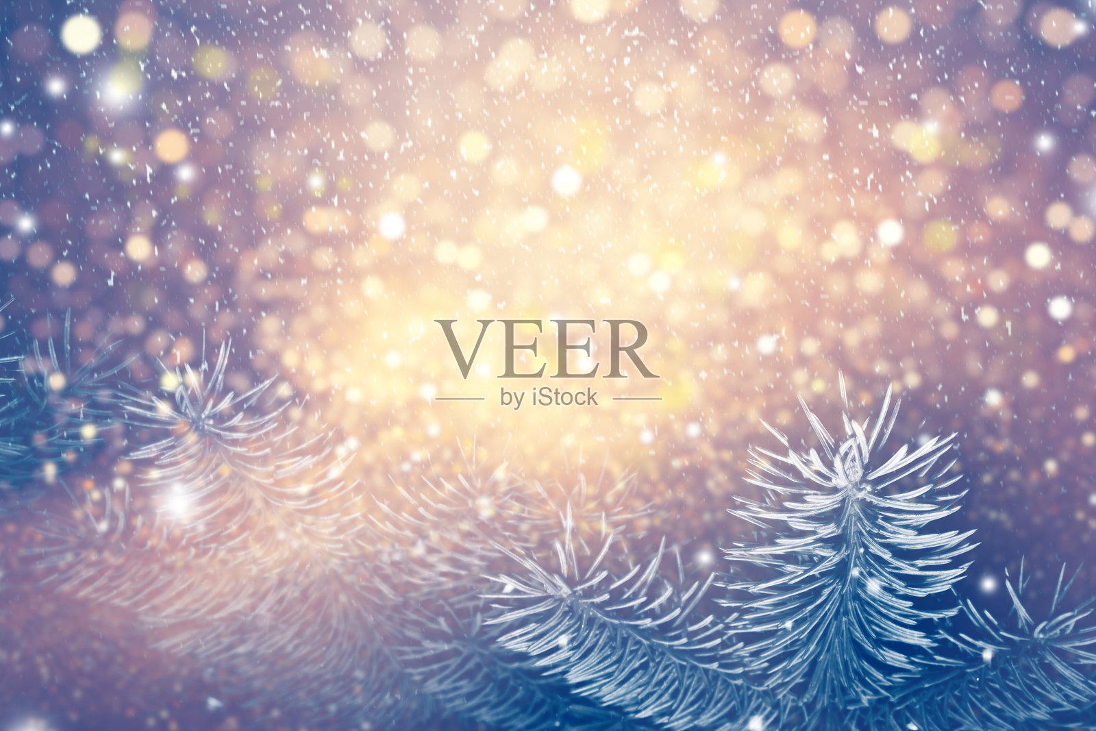 圣诞快乐，新年快乐。白雪覆盖树木的冰冻冬日森林。照片摄影图片