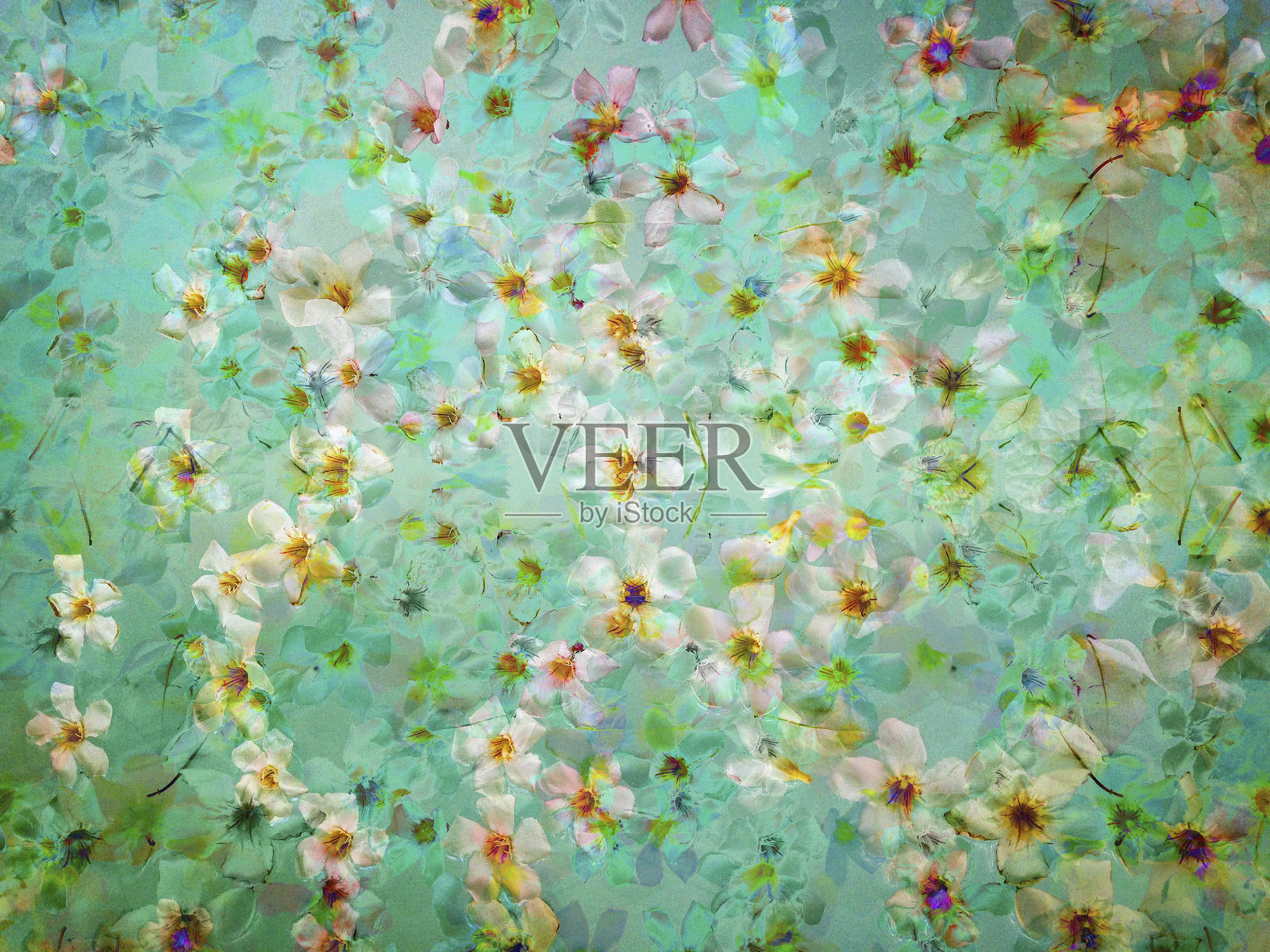 梦幻般的浮动花朵在绿松石背景上照片摄影图片