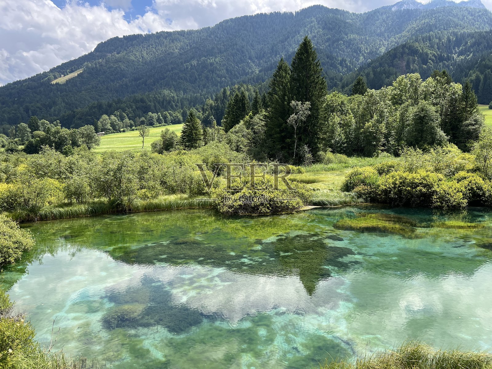 塞拉夫自然保护区 - 萨瓦多林卡河发源地，斯洛文尼亚照片摄影图片