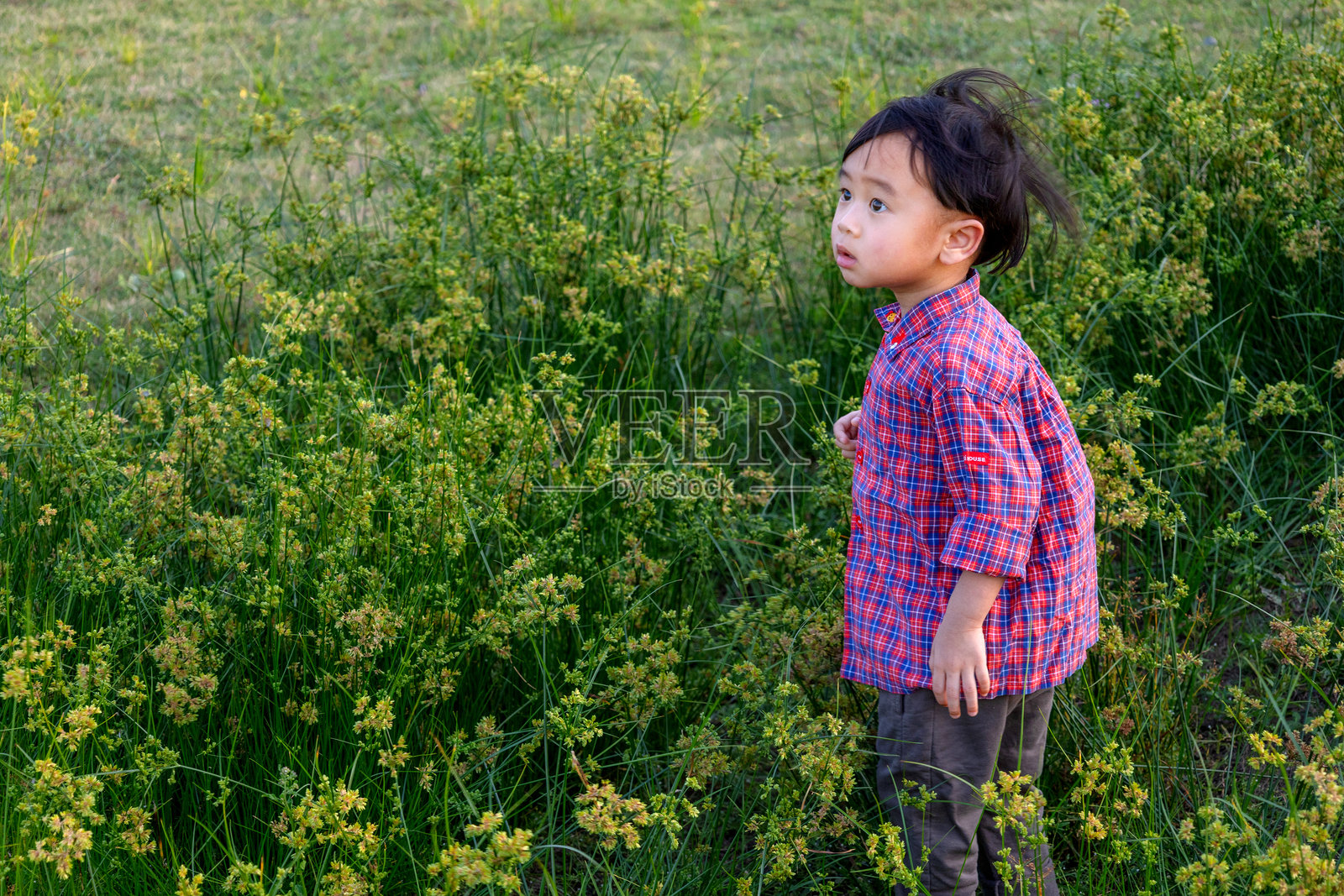 孩子在花园里玩耍，亲近大自然。零碳排放，碳中和。照片摄影图片