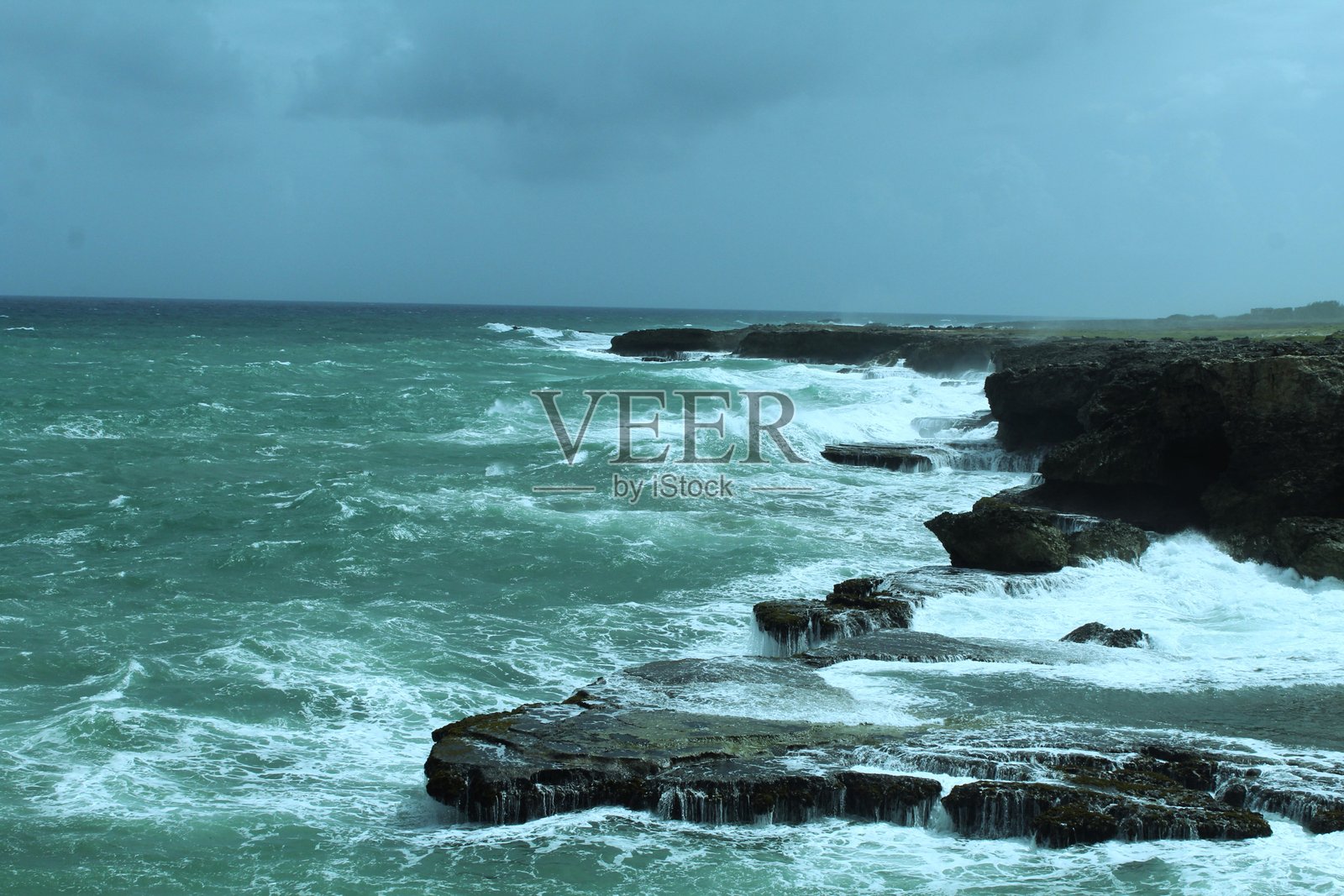 巴巴多斯的野生大西洋照片摄影图片