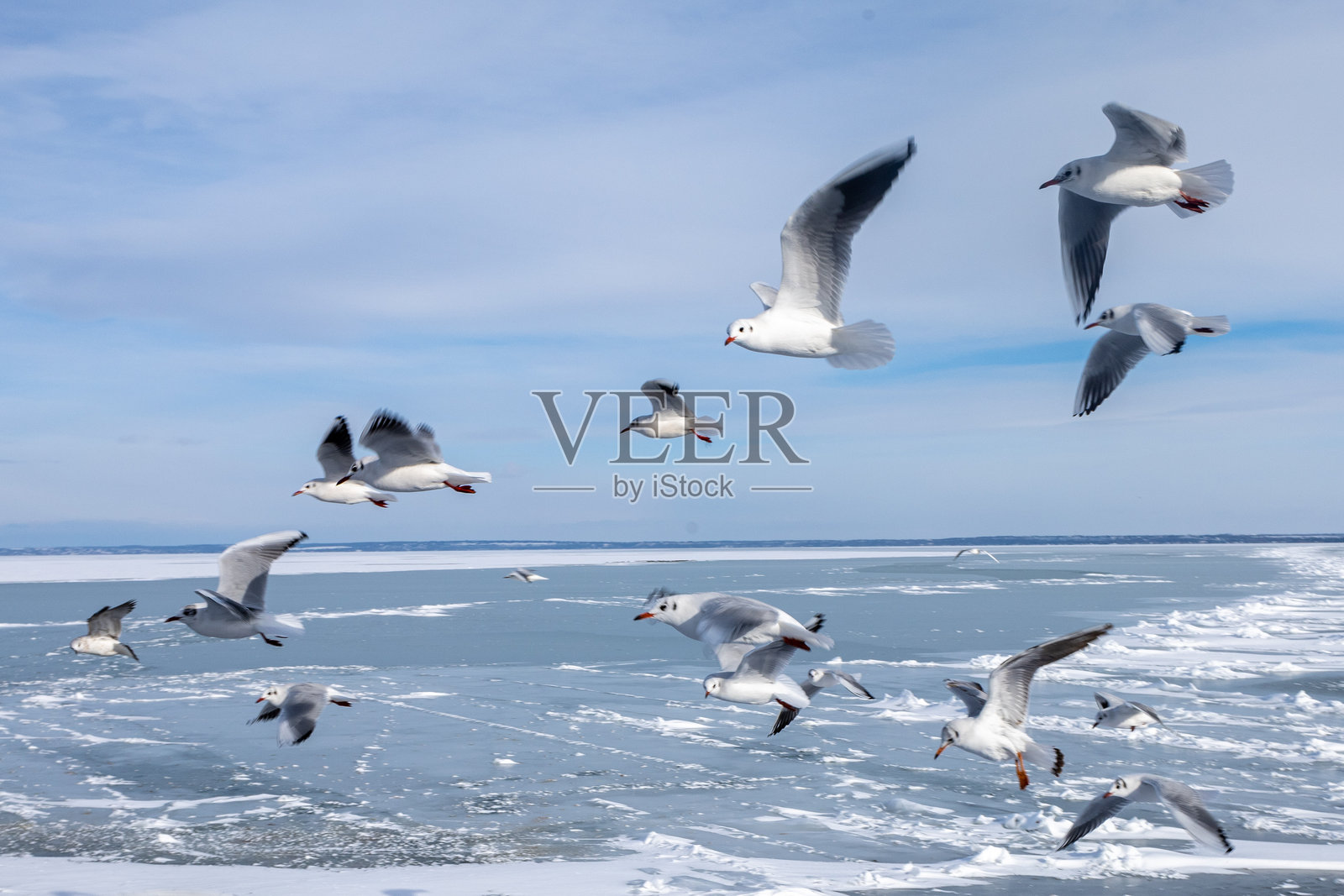 冰封的巴拉顿湖表面下涌动着生命照片摄影图片