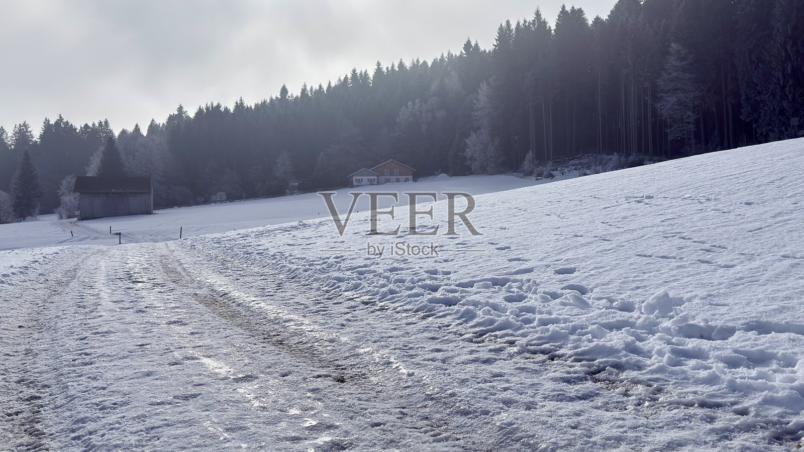 冬季的土地照片摄影图片