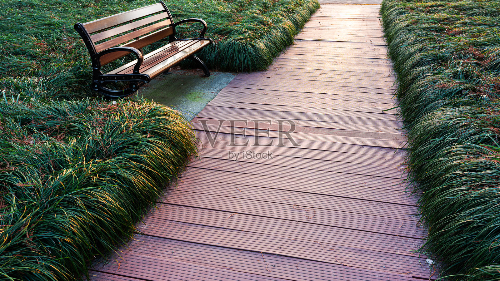 郁郁葱葱的绿色花园里的木板路和长椅照片摄影图片