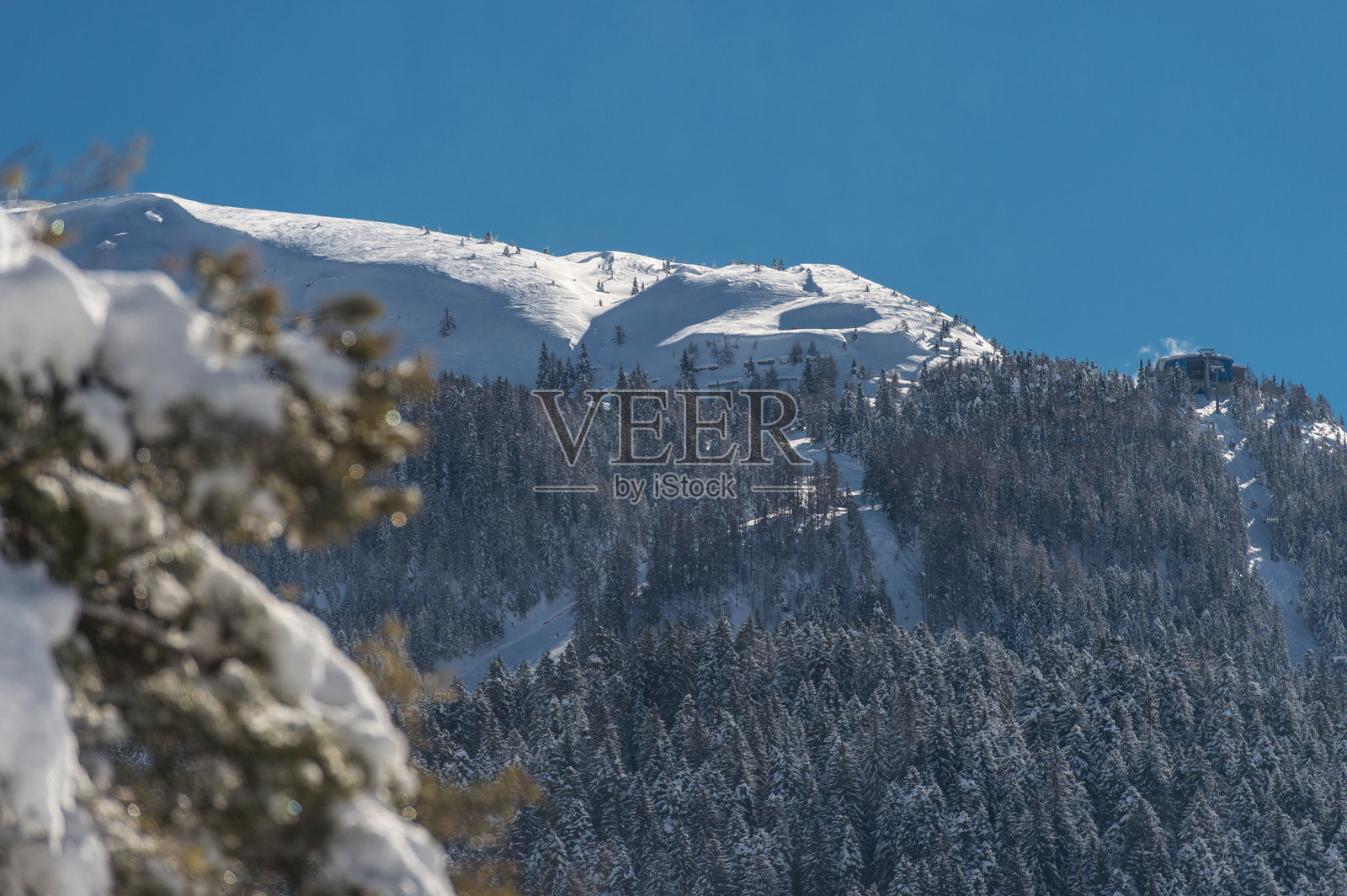 特伦蒂诺的雪景照片摄影图片