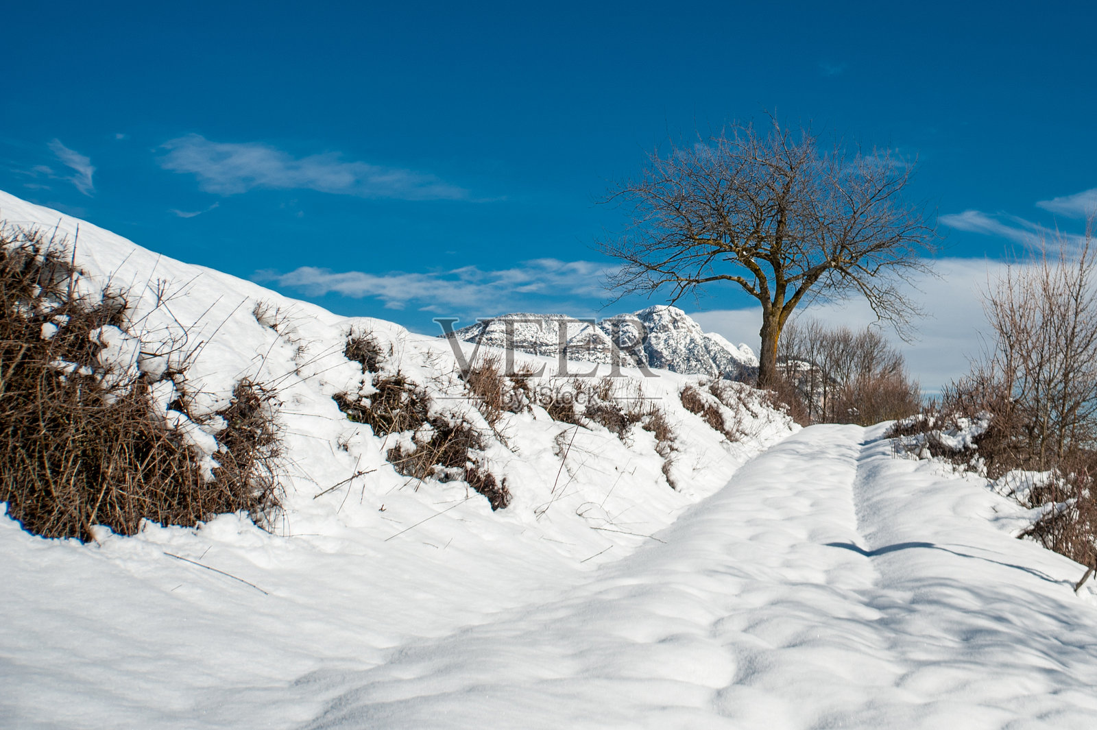特伦蒂诺的雪景照片摄影图片