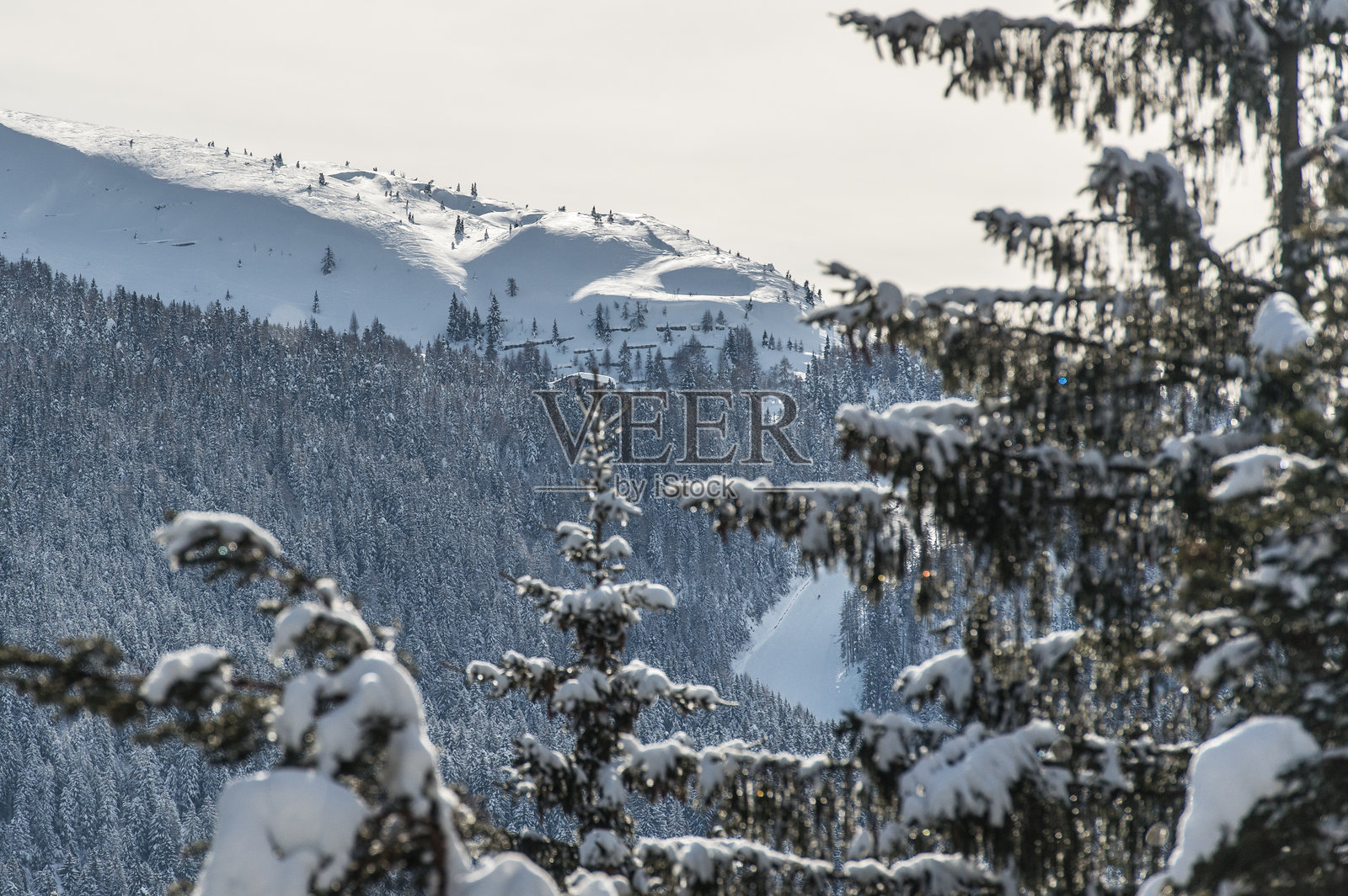 特伦蒂诺的雪景照片摄影图片